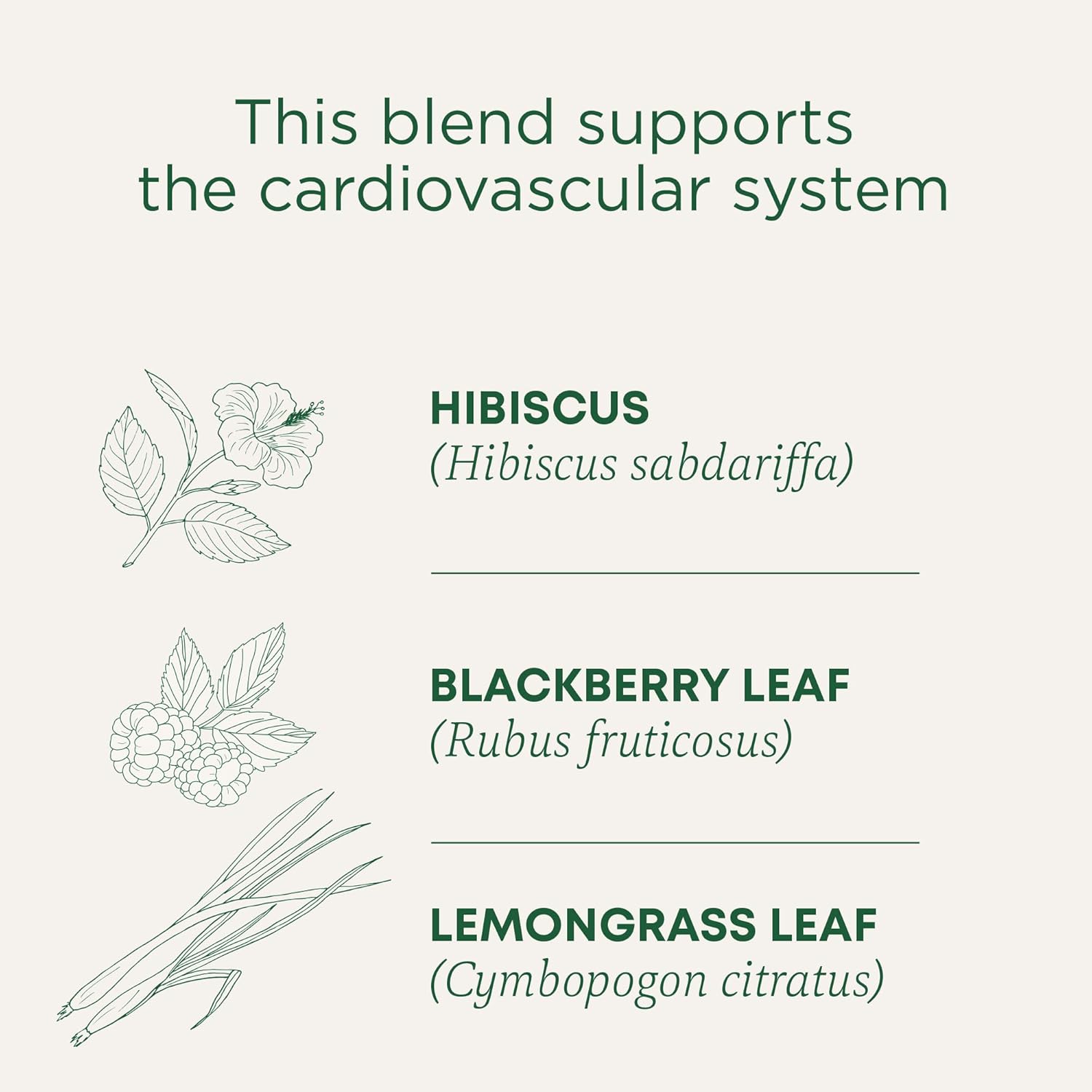 Alternative view of Traditional Medicinals Organic, Hibiscus Tea - Supports Normal Heart Health & Cardiovascular Wellness - Kosher, Non-GMO, Caffeine-Free, Compostable - 16 Tea Bags