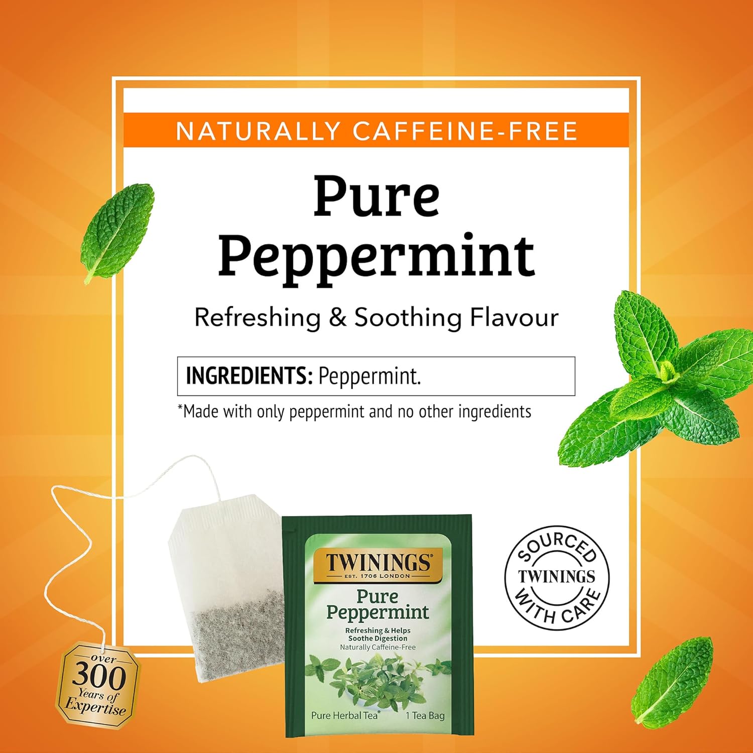 Twinings Pure Peppermint Herbal Tea Individually Wrapped Bags, 100 Count (Pack of 1), Fresh Minty Flavour, Naturally Caffeine-Free, Enjoy Hot or Iced, 100 Teabags - Image 3