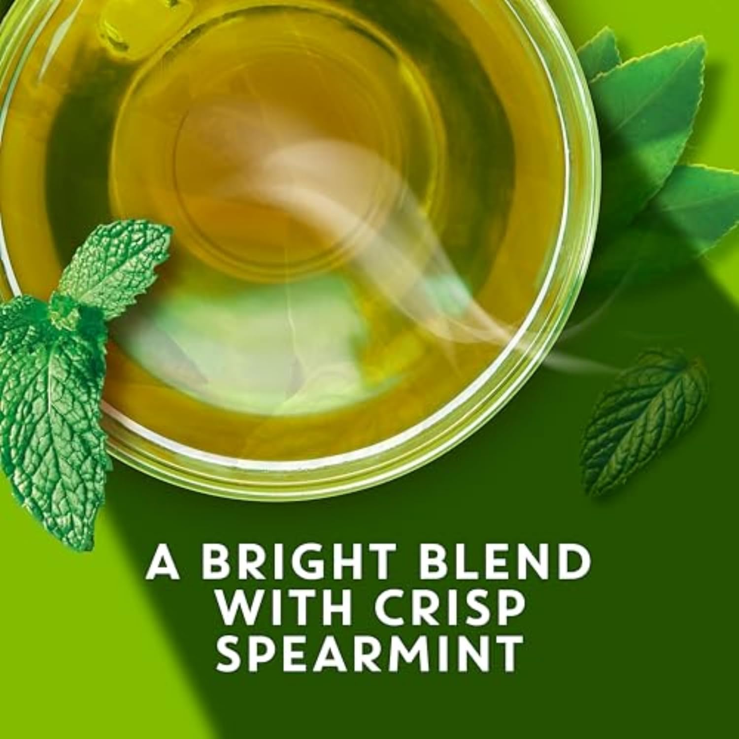 TAZO Organic Zen Green Tea Bags, Caffeine Free Tea with Refreshing Lemongrass & Spearmint, 144 Total Tea Bags (36ct - Pack of 4) - Image 5