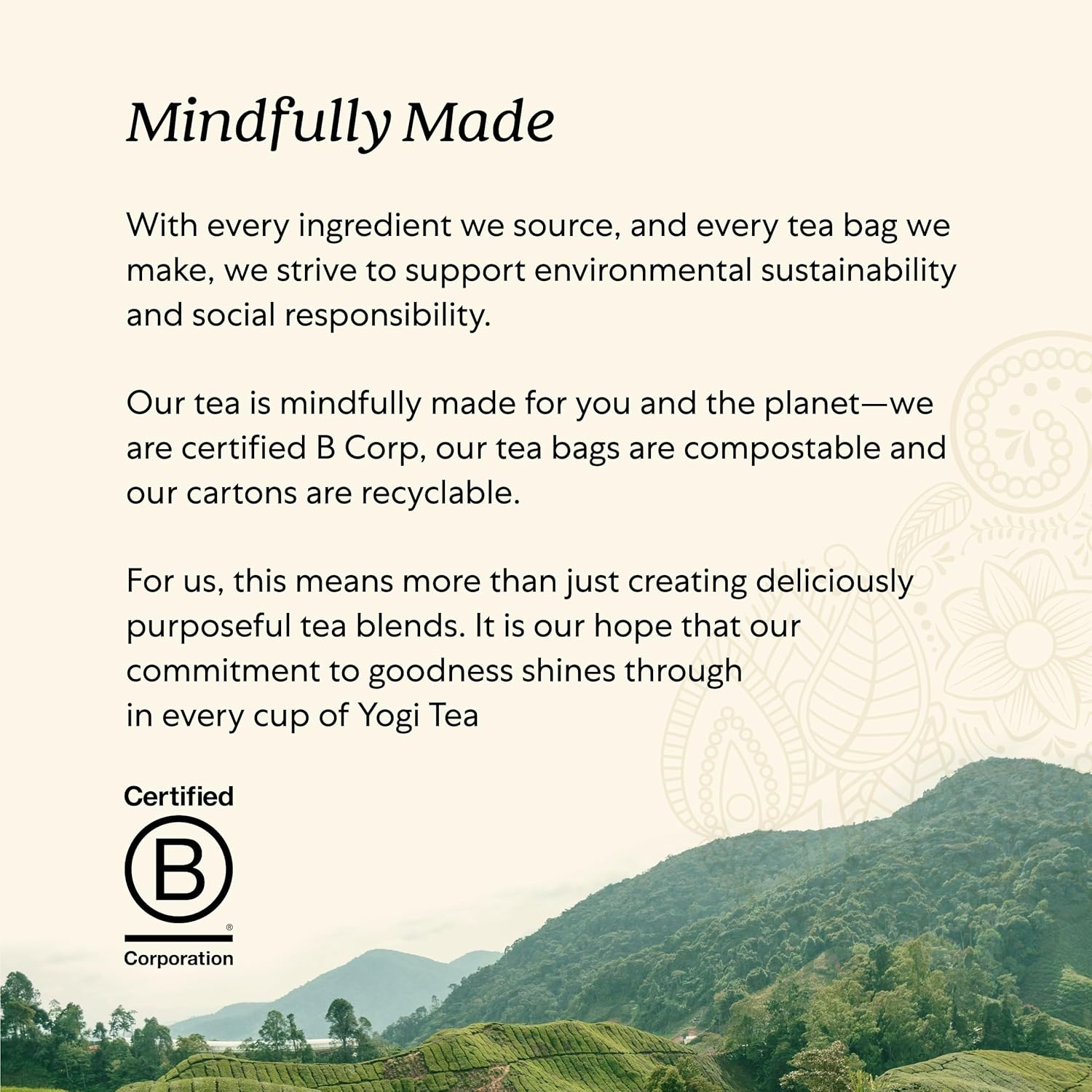 Yogi Tea Green Tea Super Antioxidant Tea - 16 Tea Bags per Pack (6 Packs) - Organic Green Tea for Antioxidant Support - Includes Green Tea Leaf, Licorice Root, Jasmine Green Tea Leaf & More. - Image 5