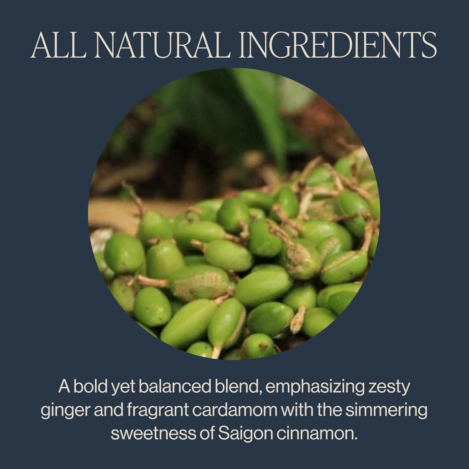 Alternative view of Rishi Tea Masala Chai Black Sachet Tea Bag Blend - Organic, Assam with Whole Spices, Energizing & Caffeinated - 50 Count