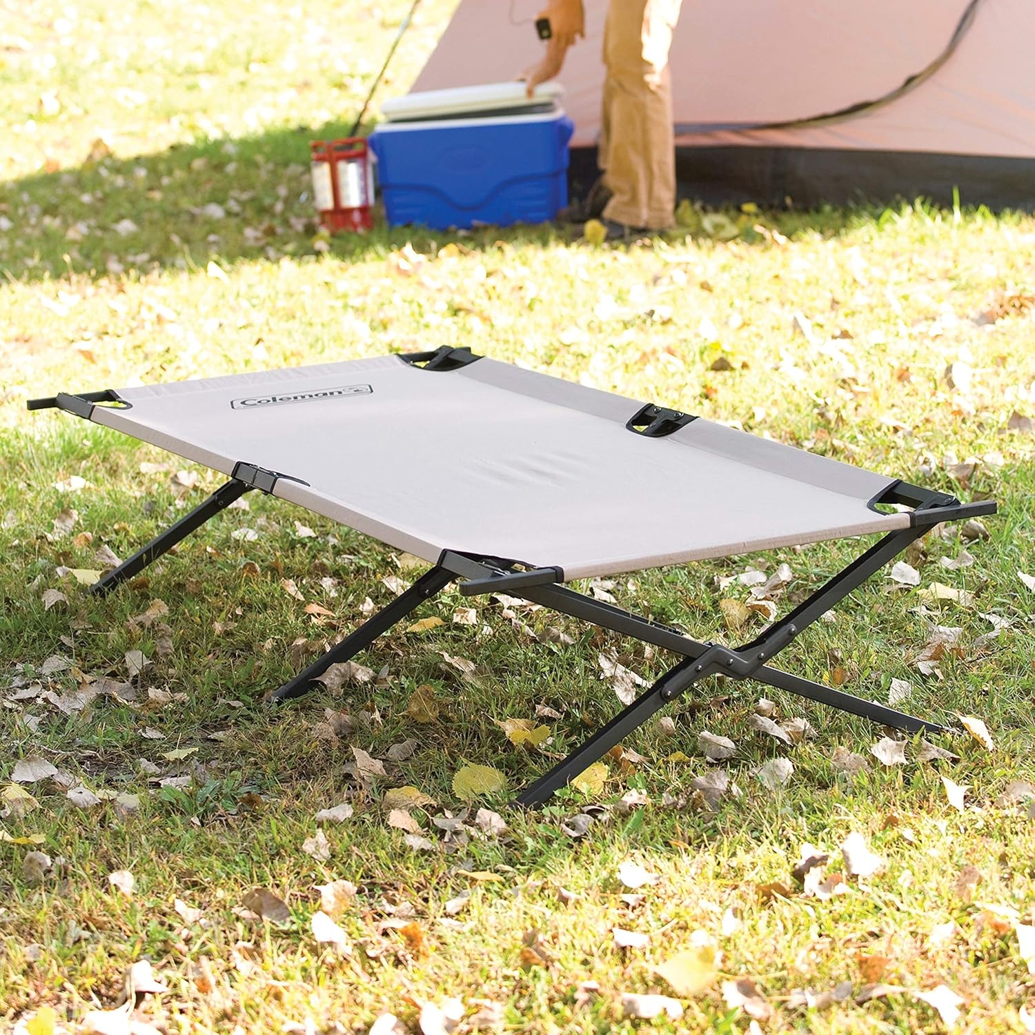 Coleman Trailhead II Large Folding Cot with Easy Setup & Takedown, Supports Adults up to 6ft 2in or 300lbs, Great for Camping, Lounging, Elevated Sleeping, Guests, & More