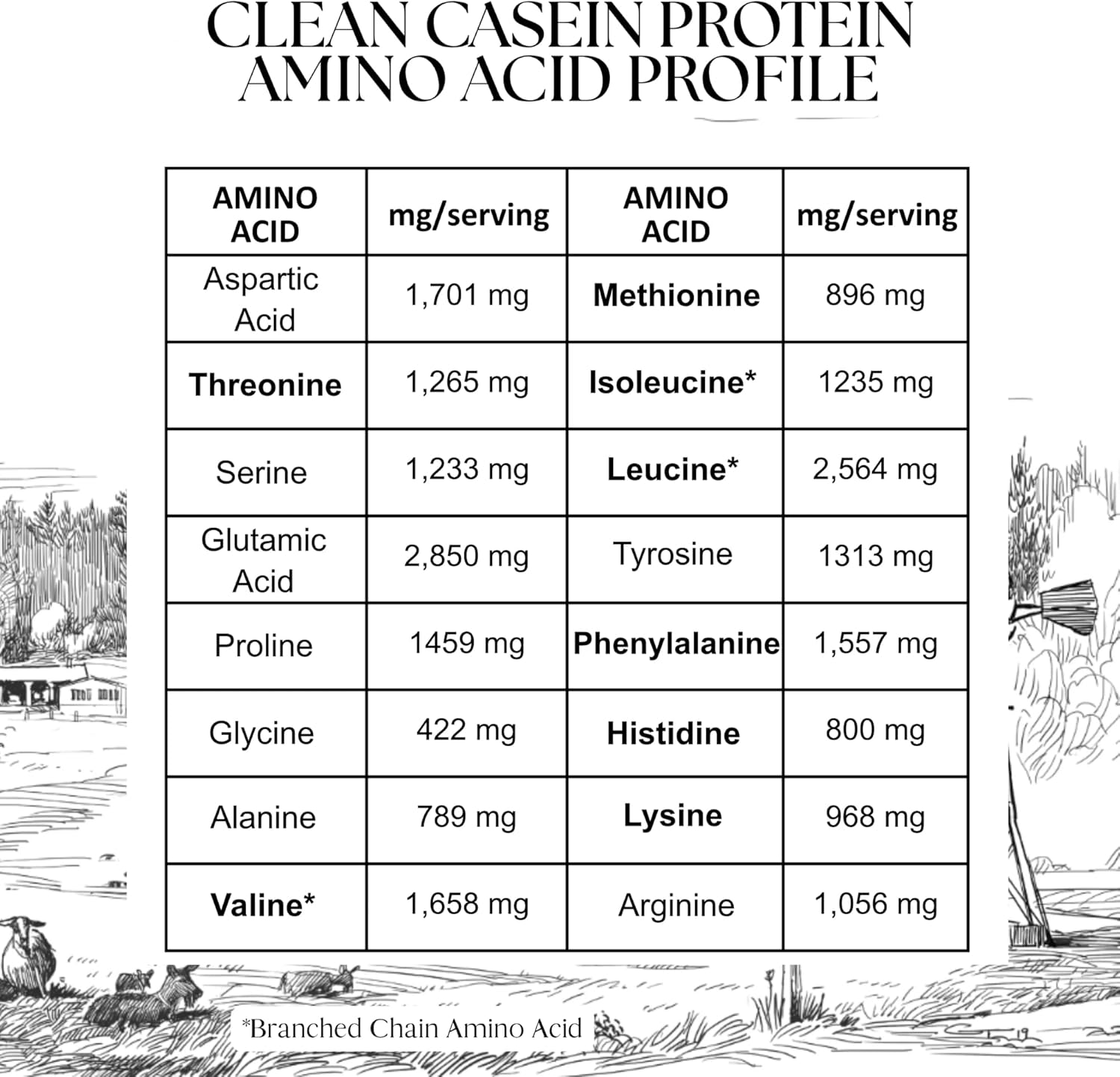 Alternative view of Mt. Capra Clean Casein Protein Easy-to-Digest Goat Casein Protein, 26 G Protein, Slow-Digesting Protein | Unsweetened, 1 lb (15 Servings)