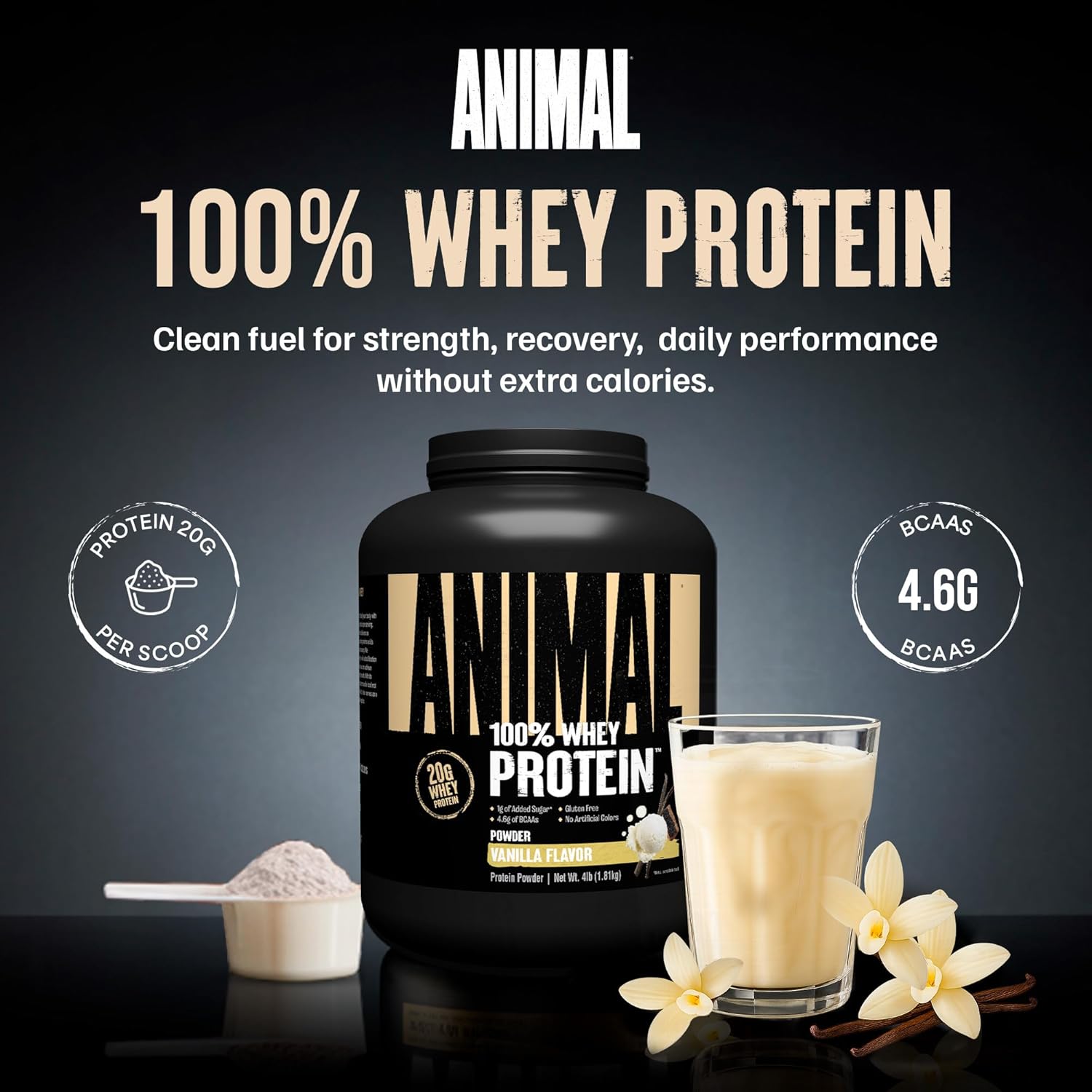 Animal 100% Whey Protein Powder u2013 Whey Blend for Pre Workout or Post Workout, Recovery, or an Anytime Low Sugar Protein Boost Meal Replacement with BCAA Branched Chain Amino Acids u2013 Vanilla, 4 lb