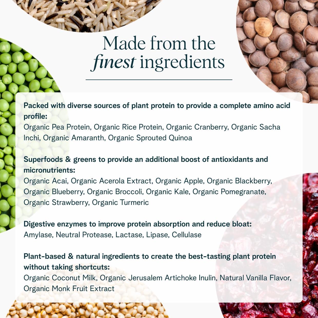 Alternative view of Ora Organic Plant-Based Protein Powder - 23g Protein for Women and Men - Vanilla Flavor 20 Servings, Vegan, Clean Protein, Third-Party Tested, Gluten-Free - 20 Servings