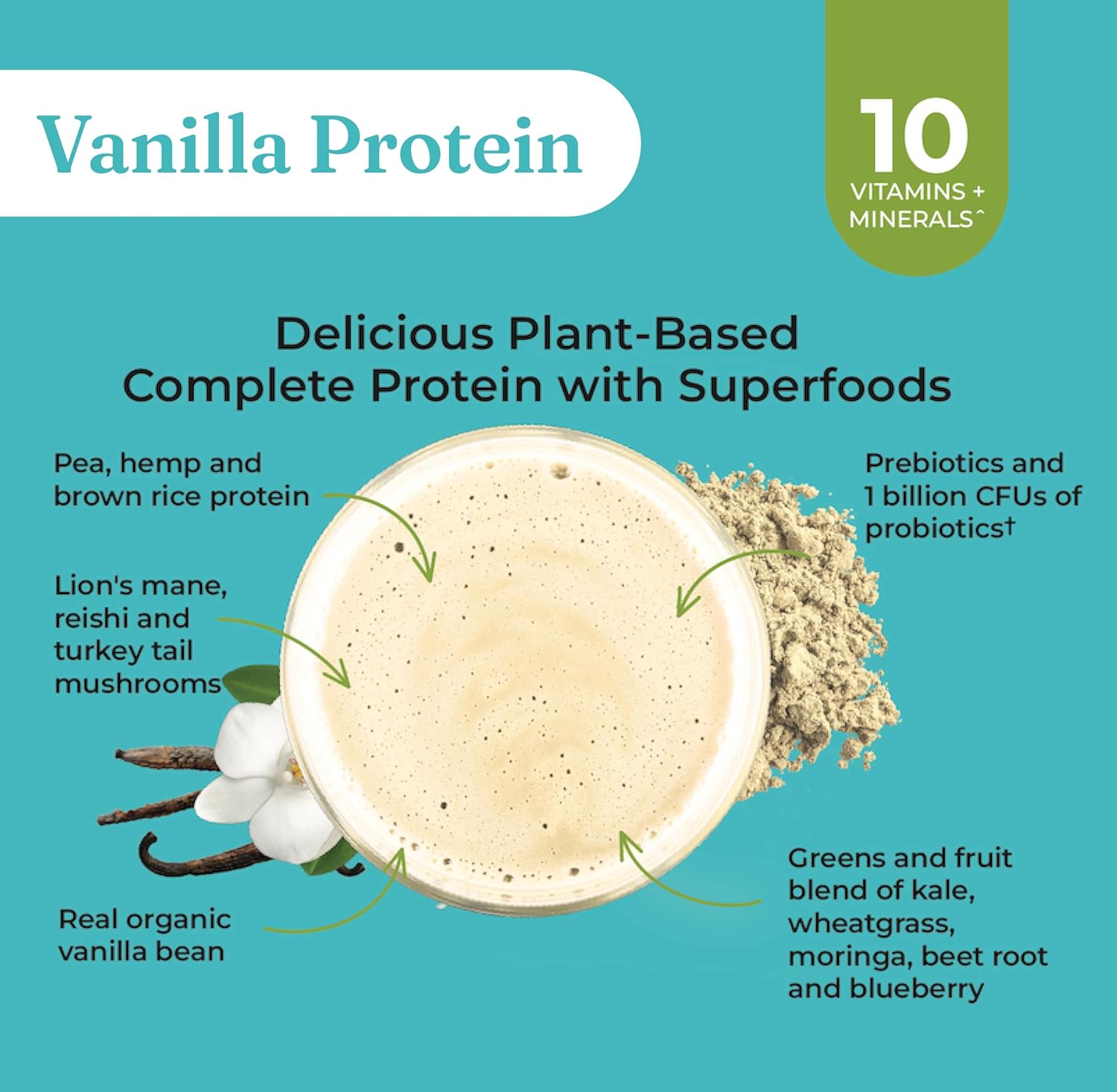 Alternative view of Four Sigmatic Organic Vegan Protein Powder | 18g Plant-Based Protein per Serving | Gluten Free, Dairy Free, Soy Free, Non-GMO with No Filler Ingredients | 21.16oz, 15 Servings | Vanilla