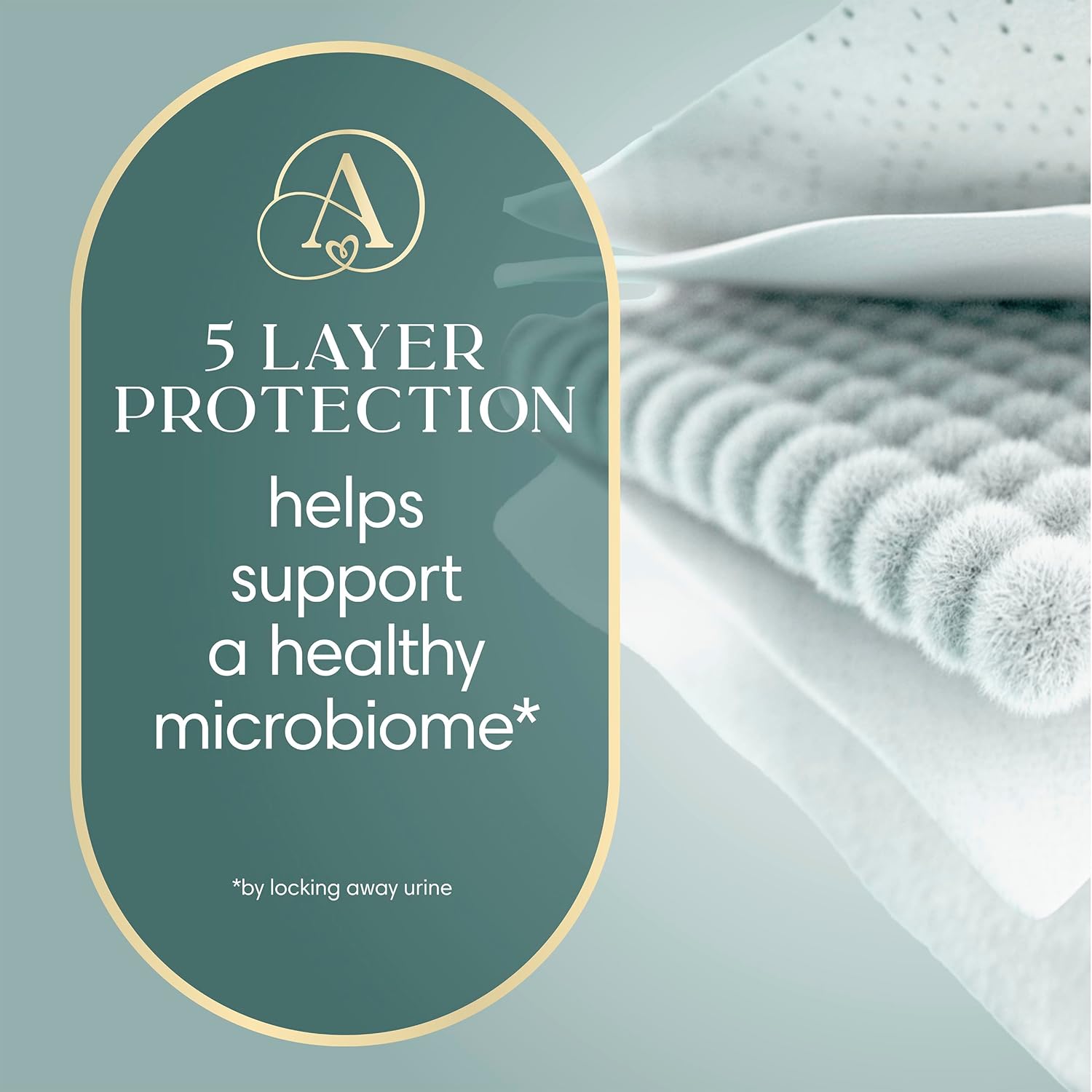 Alternative view of Pampers Amore, Size 1 (8-14 lbs), 82 Count, Our Best Diaper