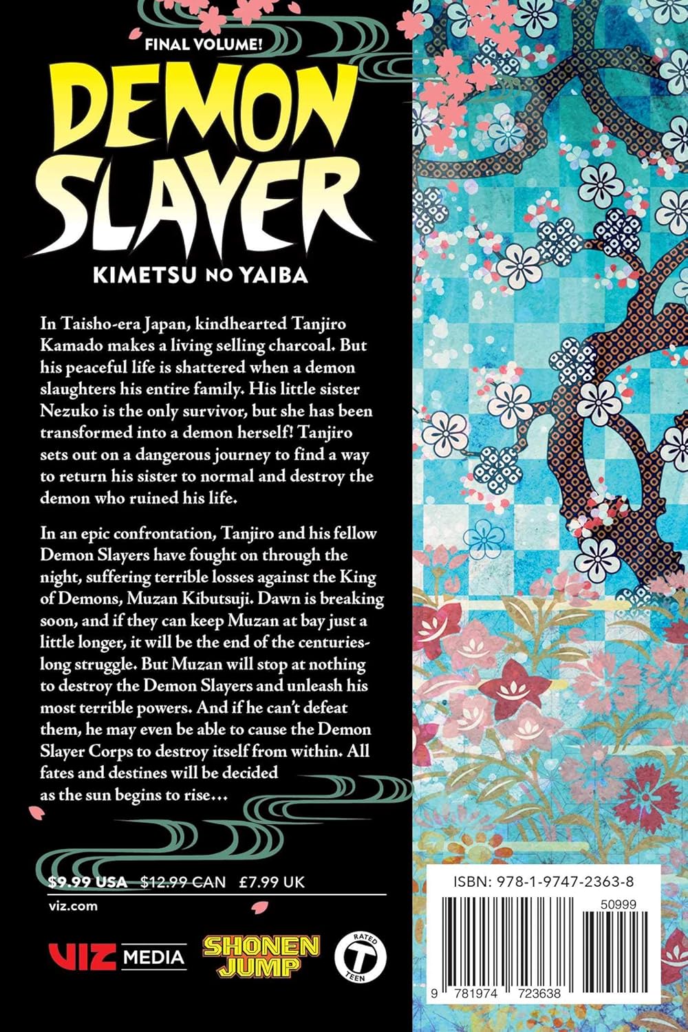 Demon Slayer: Kimetsu no Yaiba, (Volume 23)