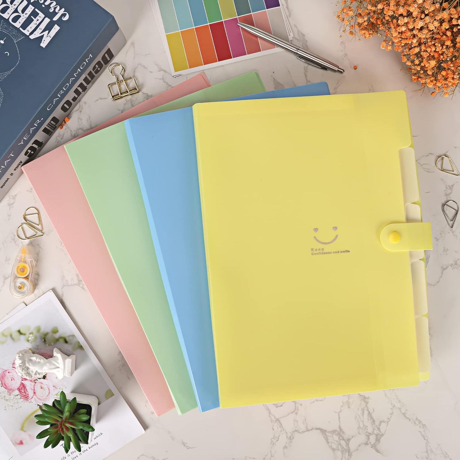 EOOUT 10pcs Expanding File Folders, Folders for Documents, A4 Letter Size Plastic Accordion Document Organizer with Snap Button, 160 Stickers in 16 Colors, for School and Office Supplies