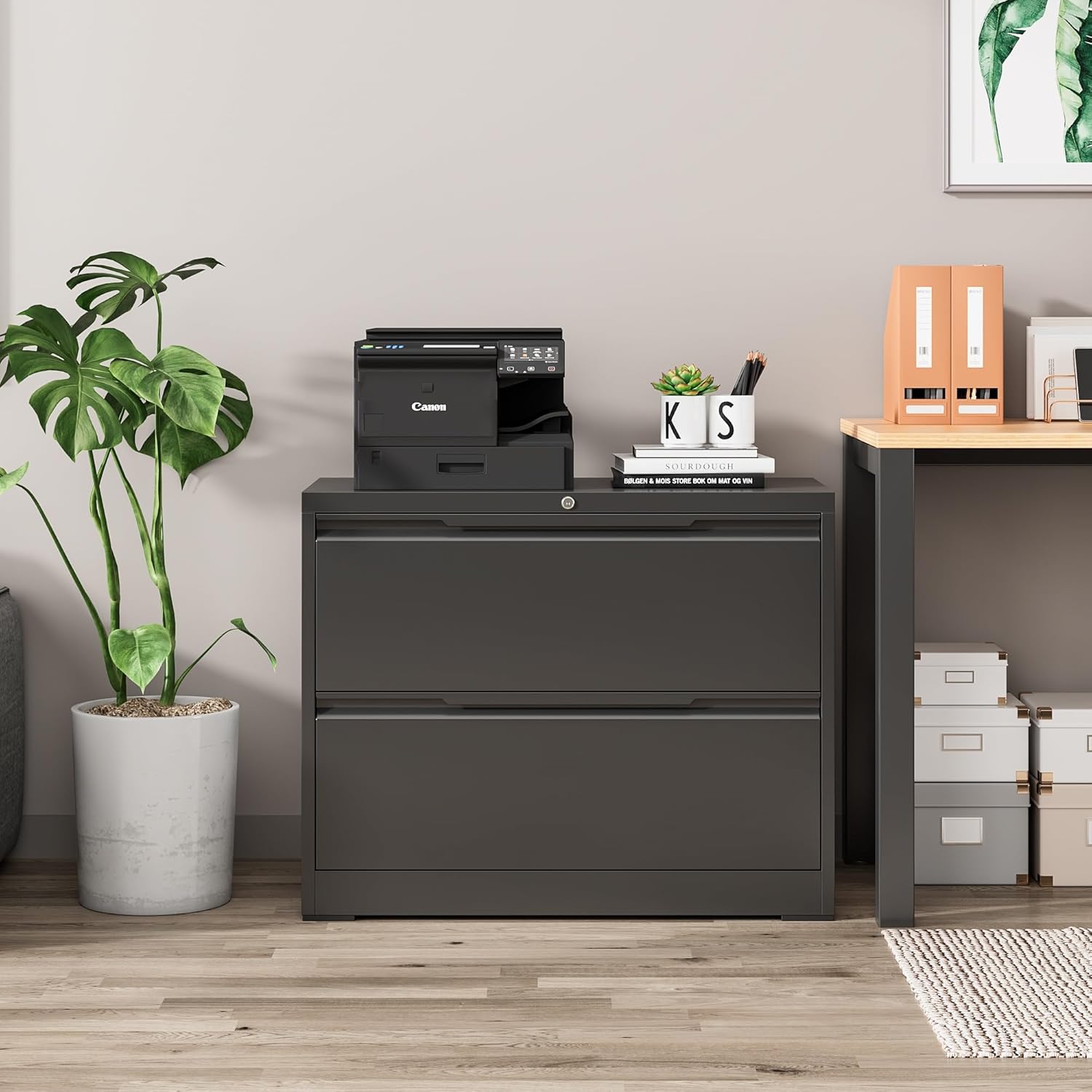 Topass Lateral File Cabinets with Lock, 2 Drawer Steel Wide Filing Organization Storage Cabinets, Steel File Cabinet for A4 Legal/Letter Size, Assembly Required (Black, 2 Drawer - 36" W)