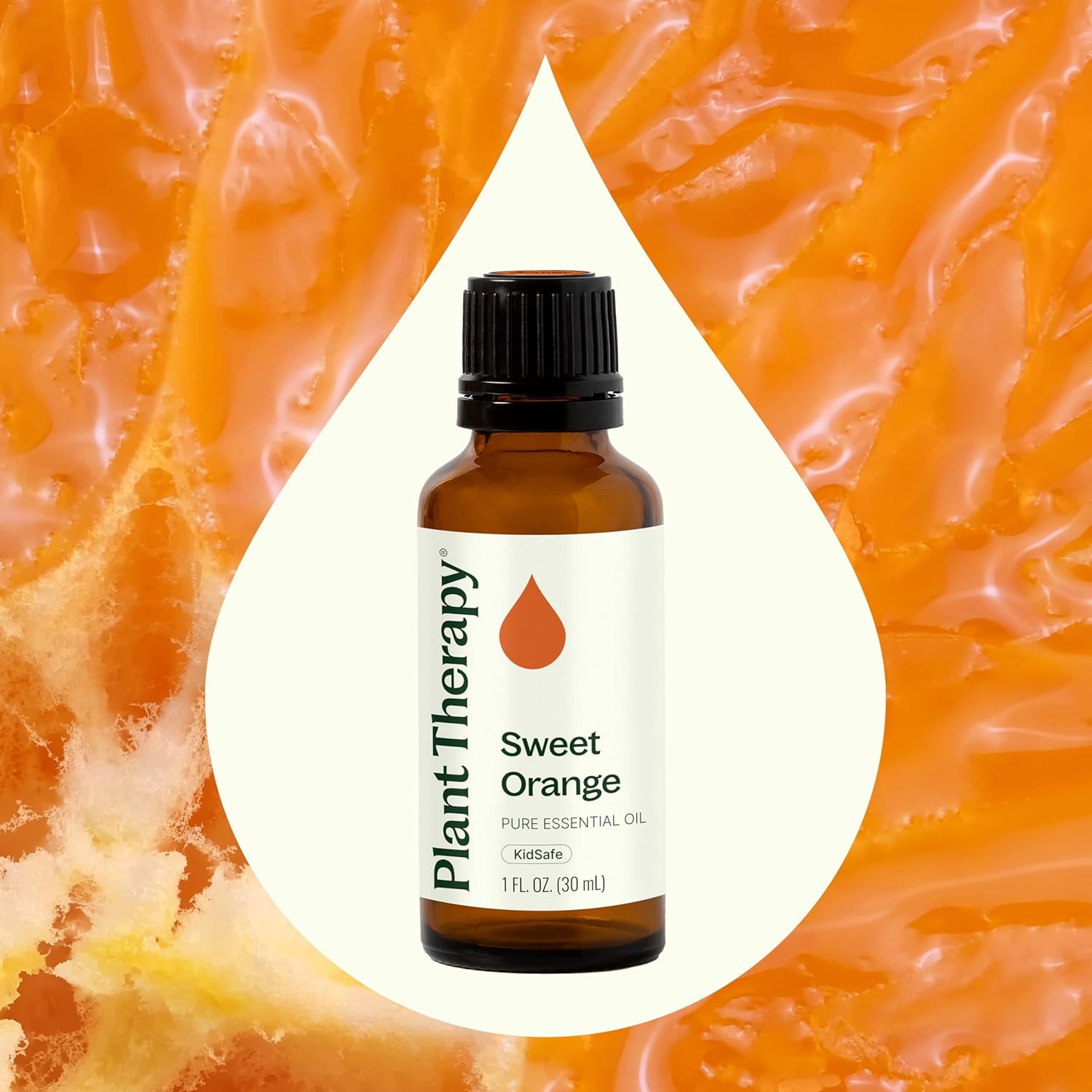 Alternative view of Plant Therapy Sweet Orange Essential Oil 100% Pure, Undiluted, Natural Aromatherapy, Therapeutic Grade 30 mL (1 oz)