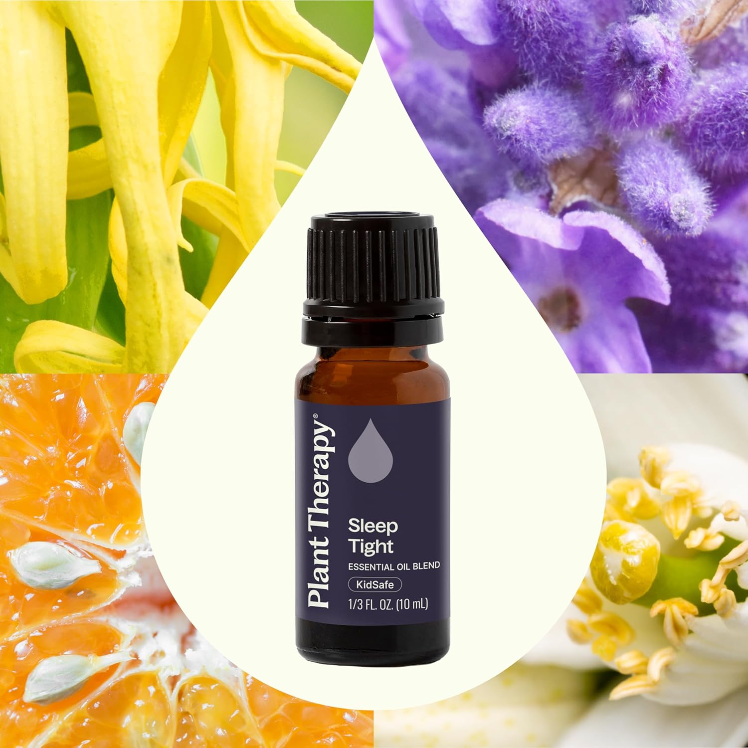 Alternative view of Plant Therapy Sleep Tight Essential Oil Blend 10 mL (1/3 oz) 100% Pure, Undiluted, Therapeutic Grade