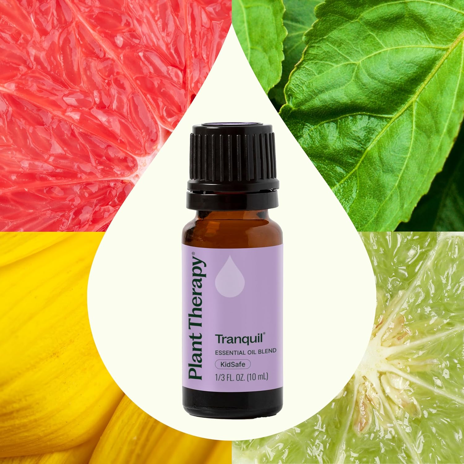 Alternative view of Plant Therapy Tranquil Essential Oil Blend - Peace & Calming Blend 100% Pure, Undiluted, Natural Aromatherapy, Therapeutic Grade 10 mL (1/3 oz)