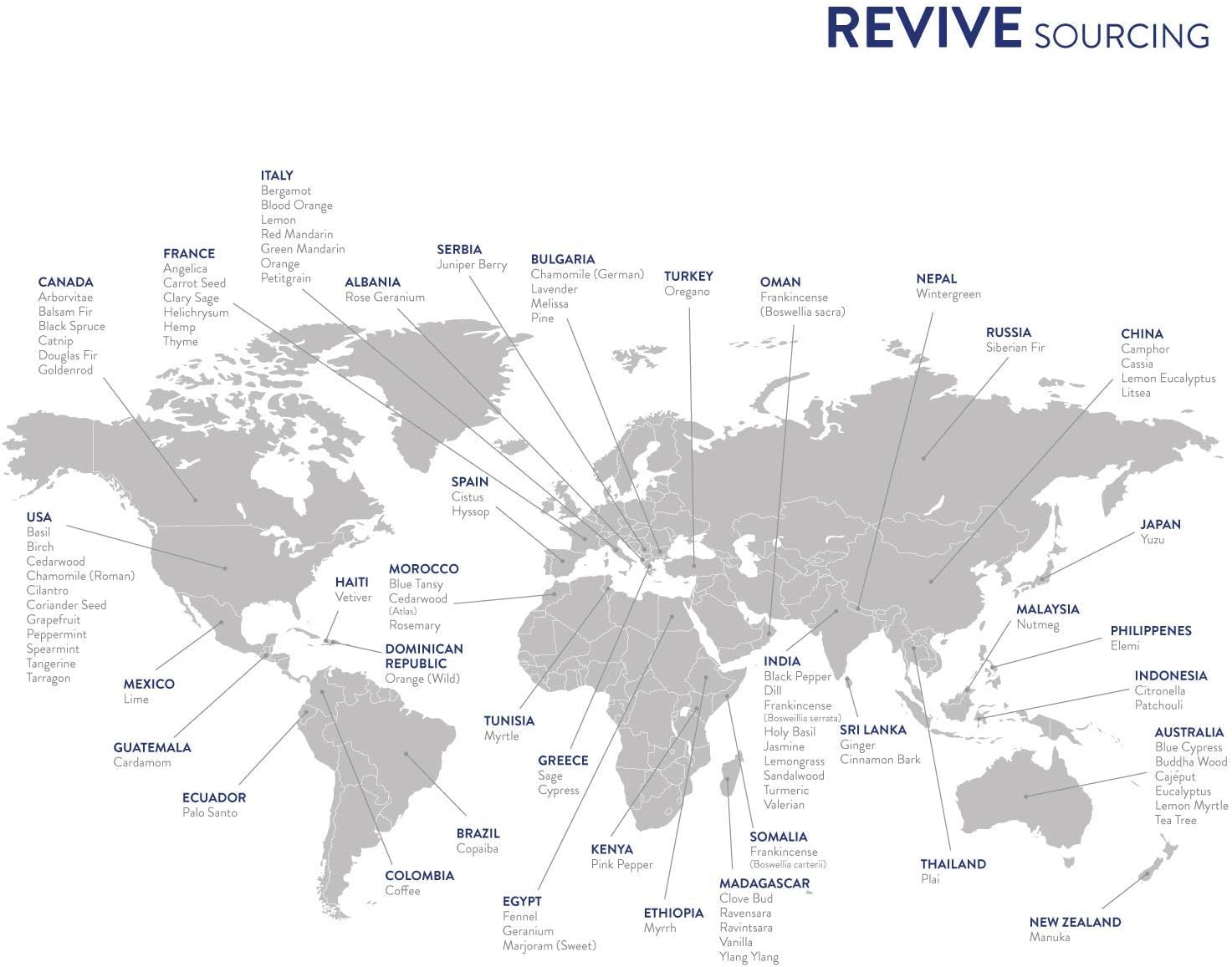 Alternative view of Headache Relief Essential Oil Blend by Revive Essential Oils - 100% Pure Therapeutic Grade, for Diffuser, Humidifier, Massage, Aromatherapy, Skin & Hair Care