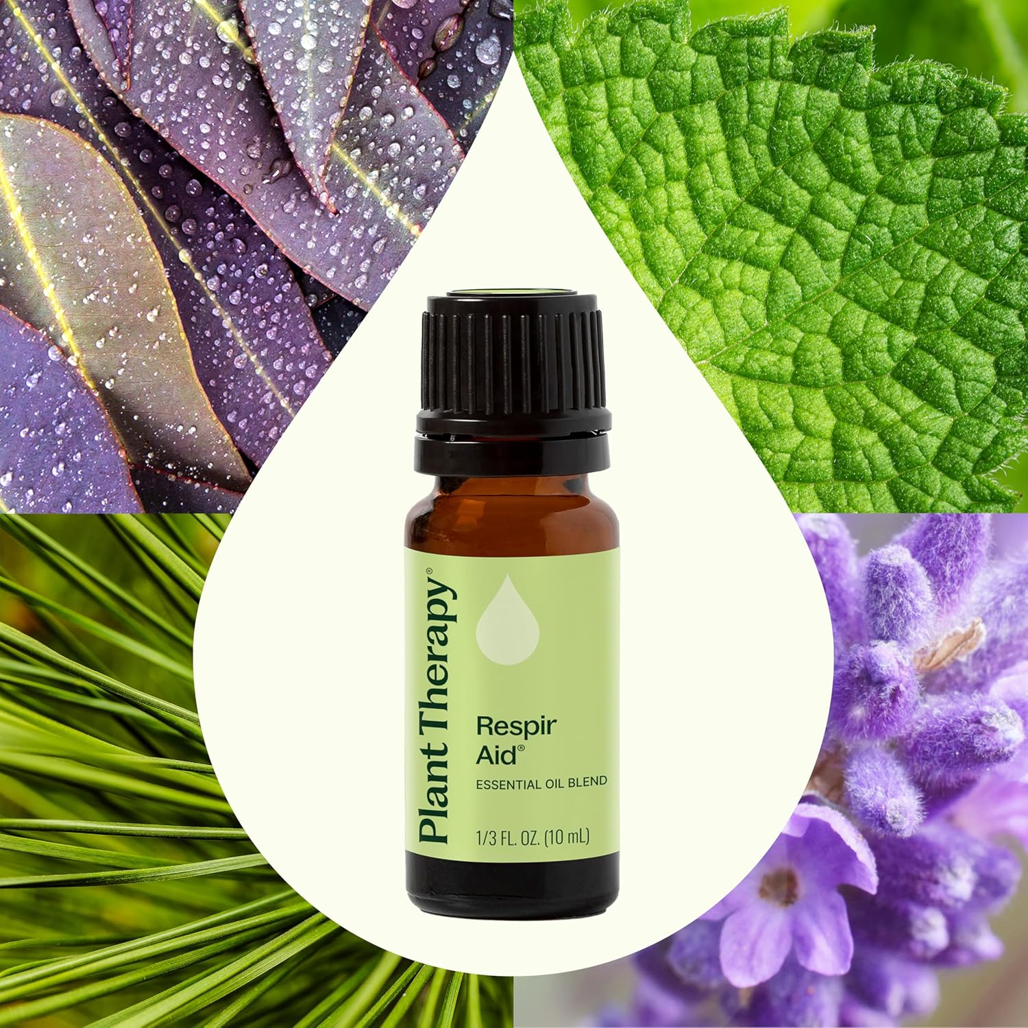 Alternative view of Plant Therapy Respir Aid Essential Oil Blend 10 mL (1/3 oz) Sinus, Airway and Congestion Clearing Oil Blend, 100% Pure, Undiluted, Natural Aromatherapy, Therapeutic Grade
