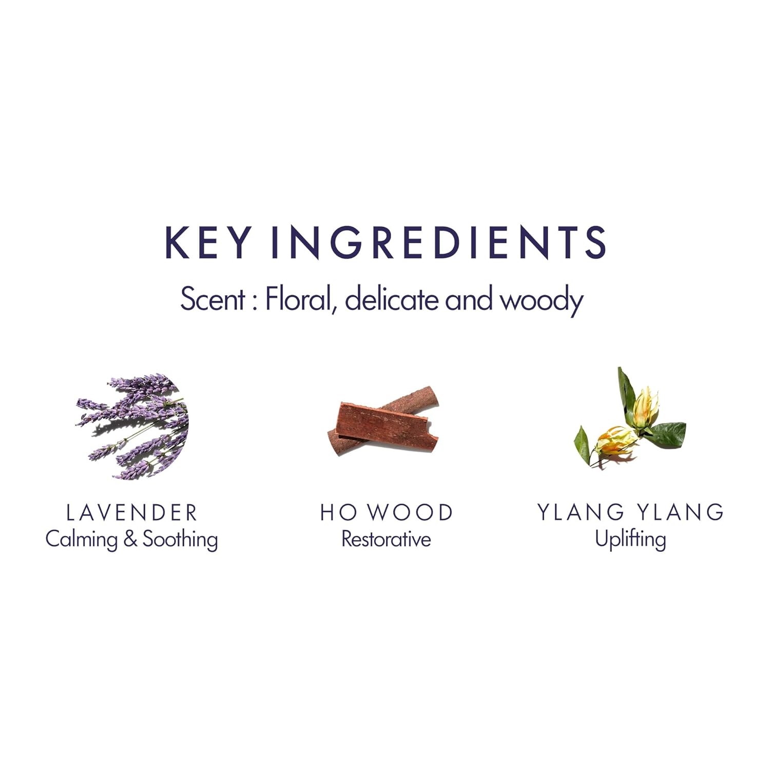 Alternative view of Aromatherapy Associates Balance Replenishing Hand & Body Wash, Moisturizing Liquid Hand Soap & Bath Wash for Women & Men, Hydrating Daily Skincare, 10 fl. oz.