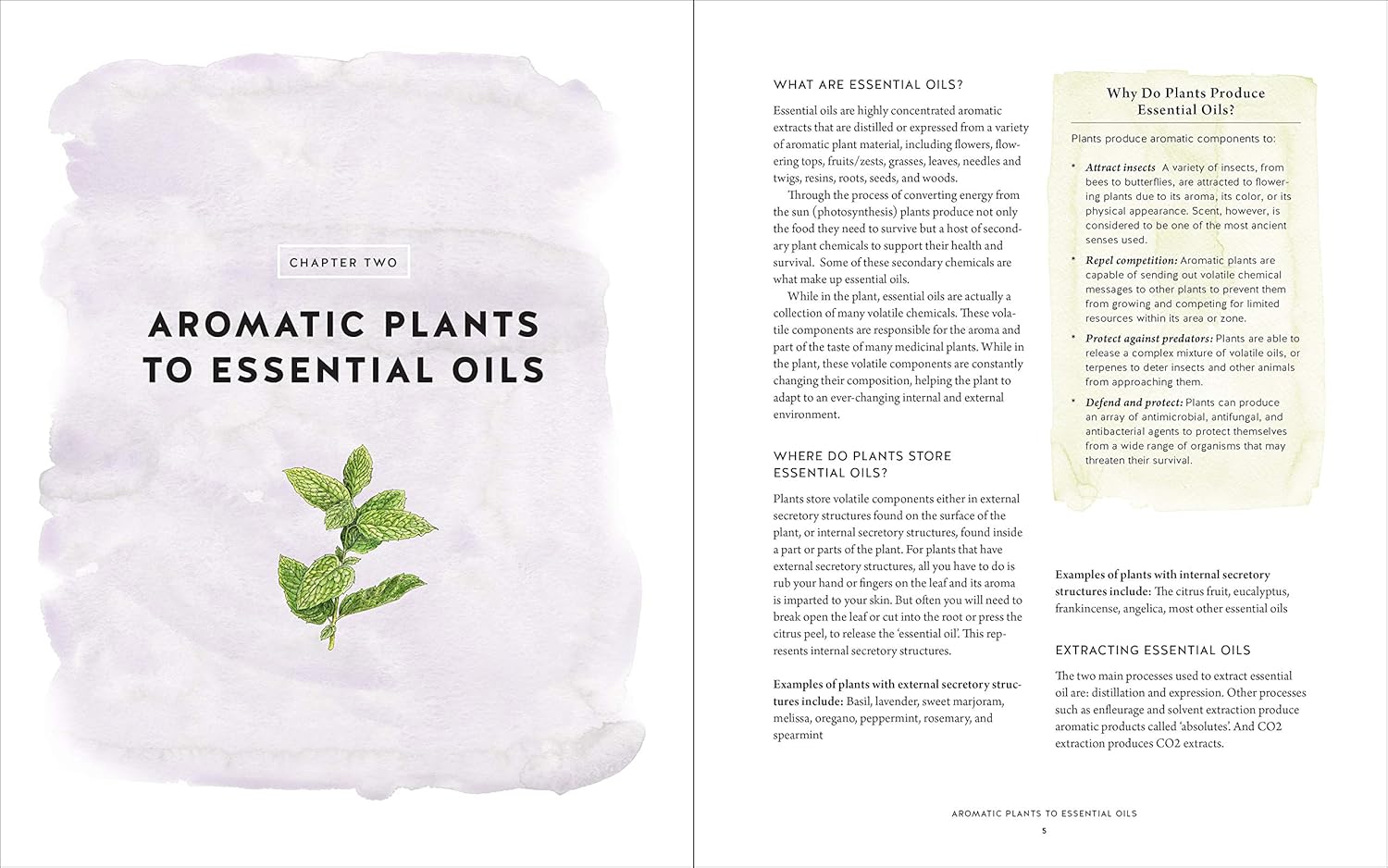 Alternative view of Ultimate Guide to Aromatherapy: An Illustrated guide to blending essential oils and crafting remedies for body, mind, and spirit (The Ultimate Guide to..., 9) (Volume 9)