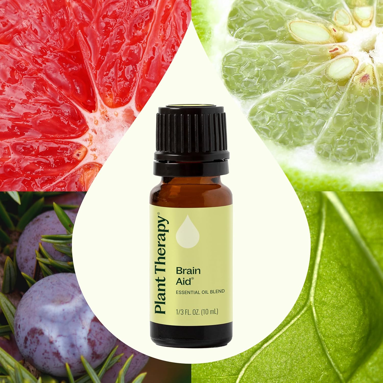 Alternative view of Plant Therapy Brain Aid Essential Oil Blend 10 mL (1/3 oz), 100% Pure & Undiluted, Aromatherapy for Focus, Concentration & Mental Clarity