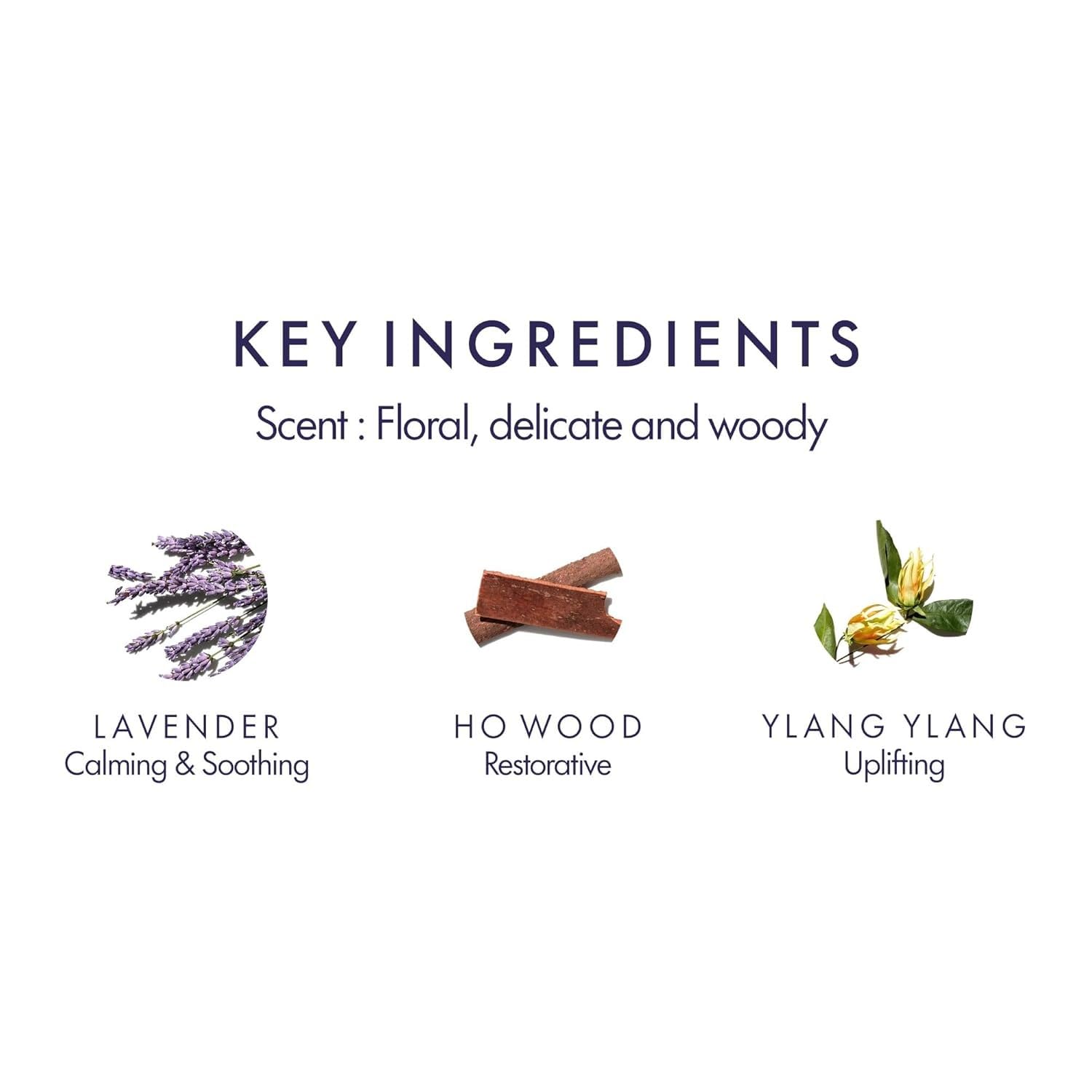 Alternative view of Aromatherapy Associates Balance Replenishing Shampoo, Hydrating Vegan Shampoo for Women and Men with Lavender & Ylang Ylang, Daily Hair Care for Oily or Dry Hair, 10 fl oz