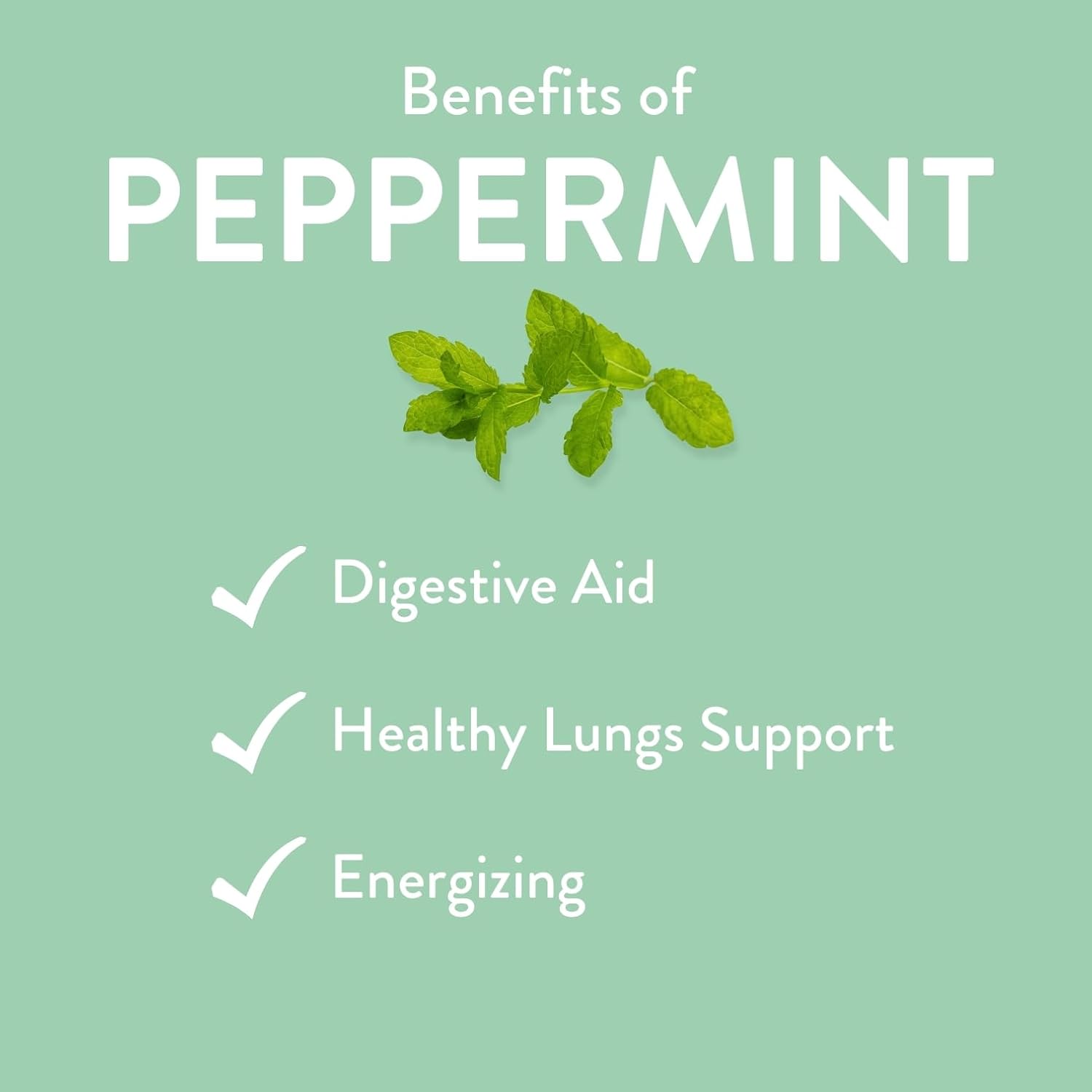 Alternative view of Peppermint Essential Oil by Revive Essential Oils - 100% Pure Therapeutic Grade, for Diffuser, Humidifier, Massage, Aromatherapy, Skin & Hair Care