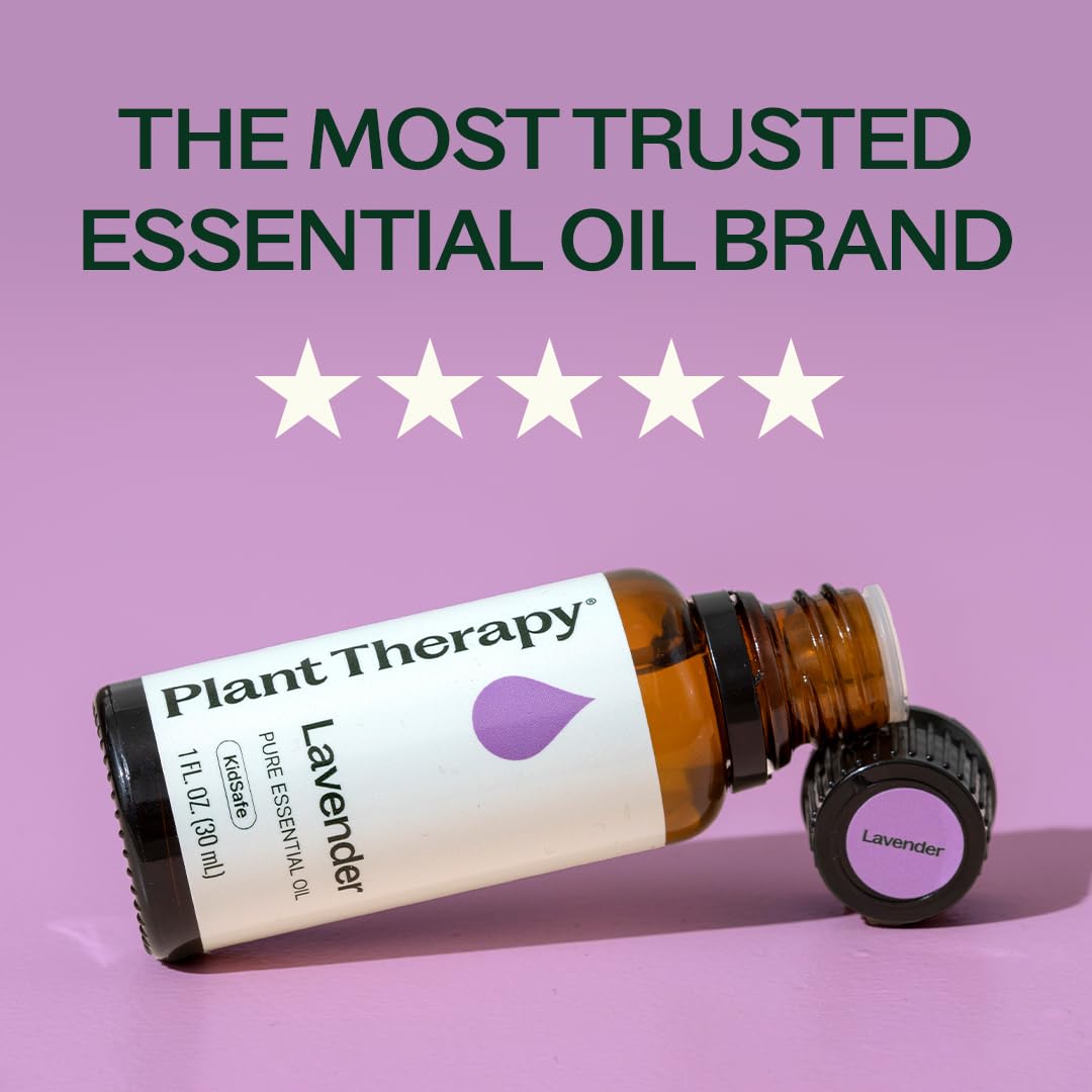 Alternative view of Plant Therapy Lavender Essential Oil 100% Pure, Undiluted, Natural Aromatherapy, Therapeutic Grade 100 mL (3.3 oz)