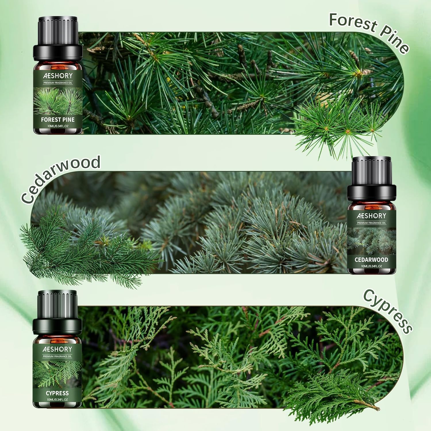 Alternative view of Woody Essential Oils Set - 6x10ML Woody Scents Fragrance Oil for Candle Making, Diffuser - Teakwood, Sandalwood, Cedarwood, Cyperss, Forest Pine, Frankincense Aromatherapy Oils