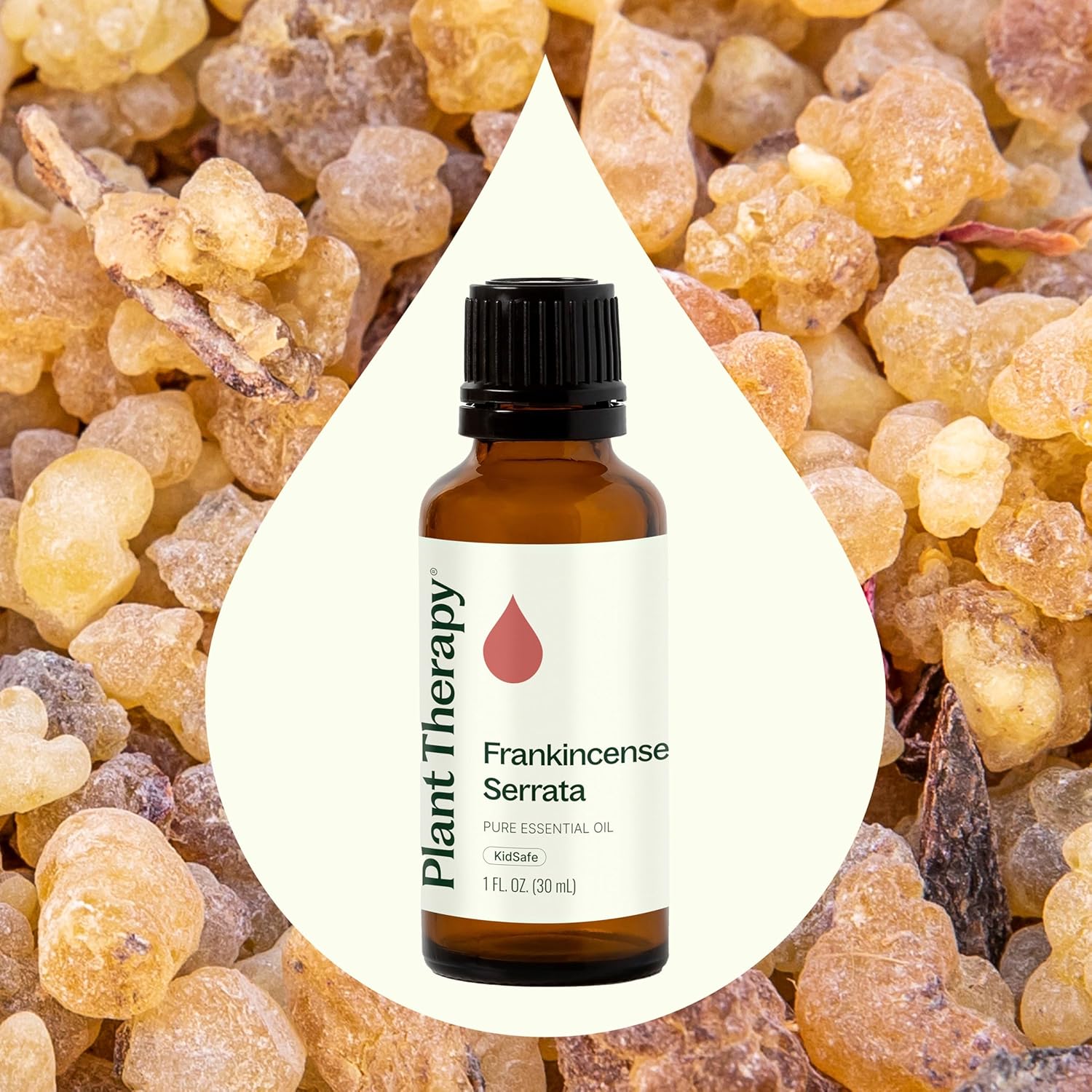 Alternative view of Plant Therapy Frankincense Serrata Essential Oil 100% Pure, Undiluted, Natural Aromatherapy, Therapeutic Grade 30 mL (1 oz)