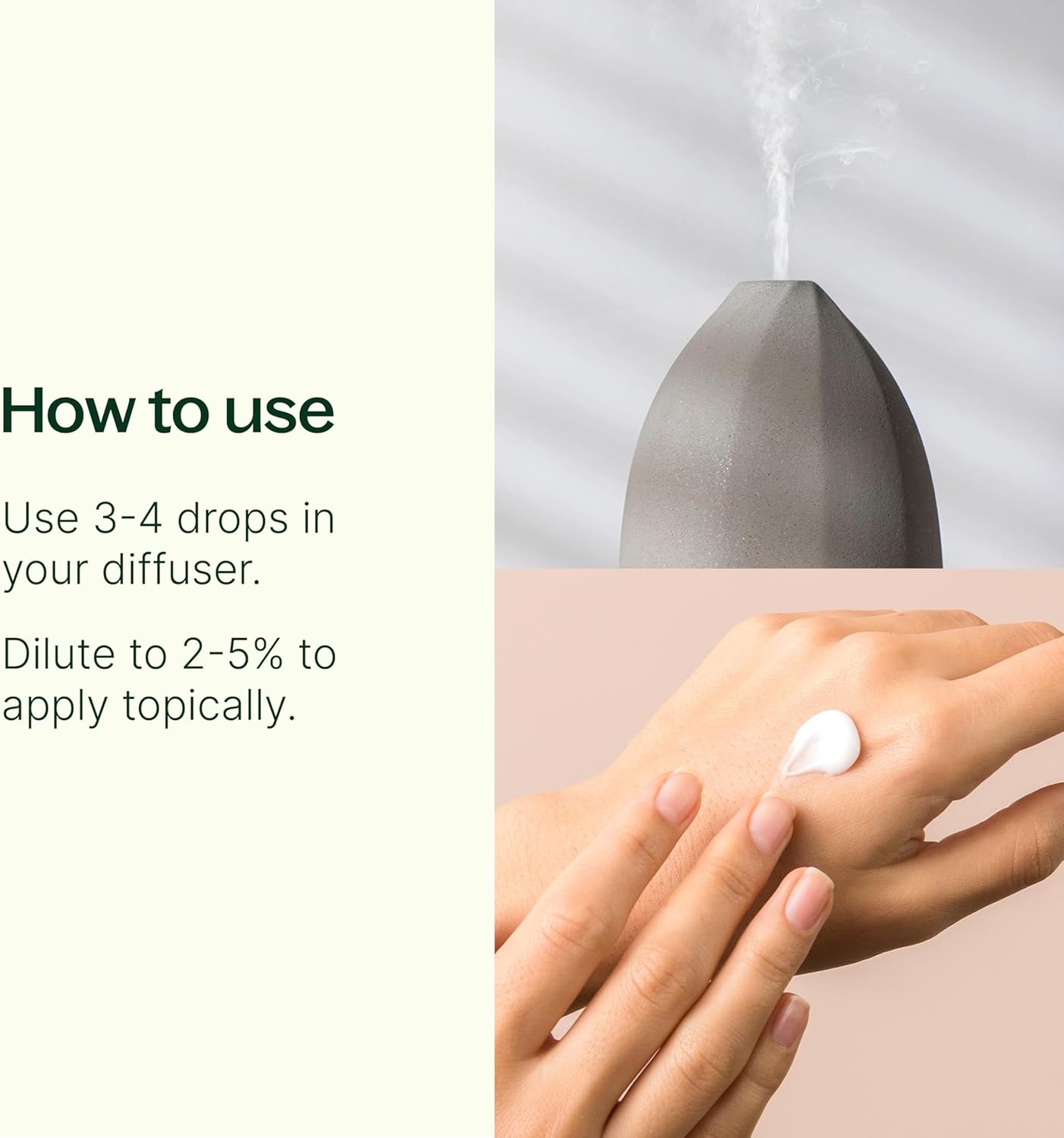 Plant Therapy Brain Aid Essential Oil Blend 10 mL (1/3 oz), 100% Pure & Undiluted, Aromatherapy for Focus, Concentration & Mental Clarity