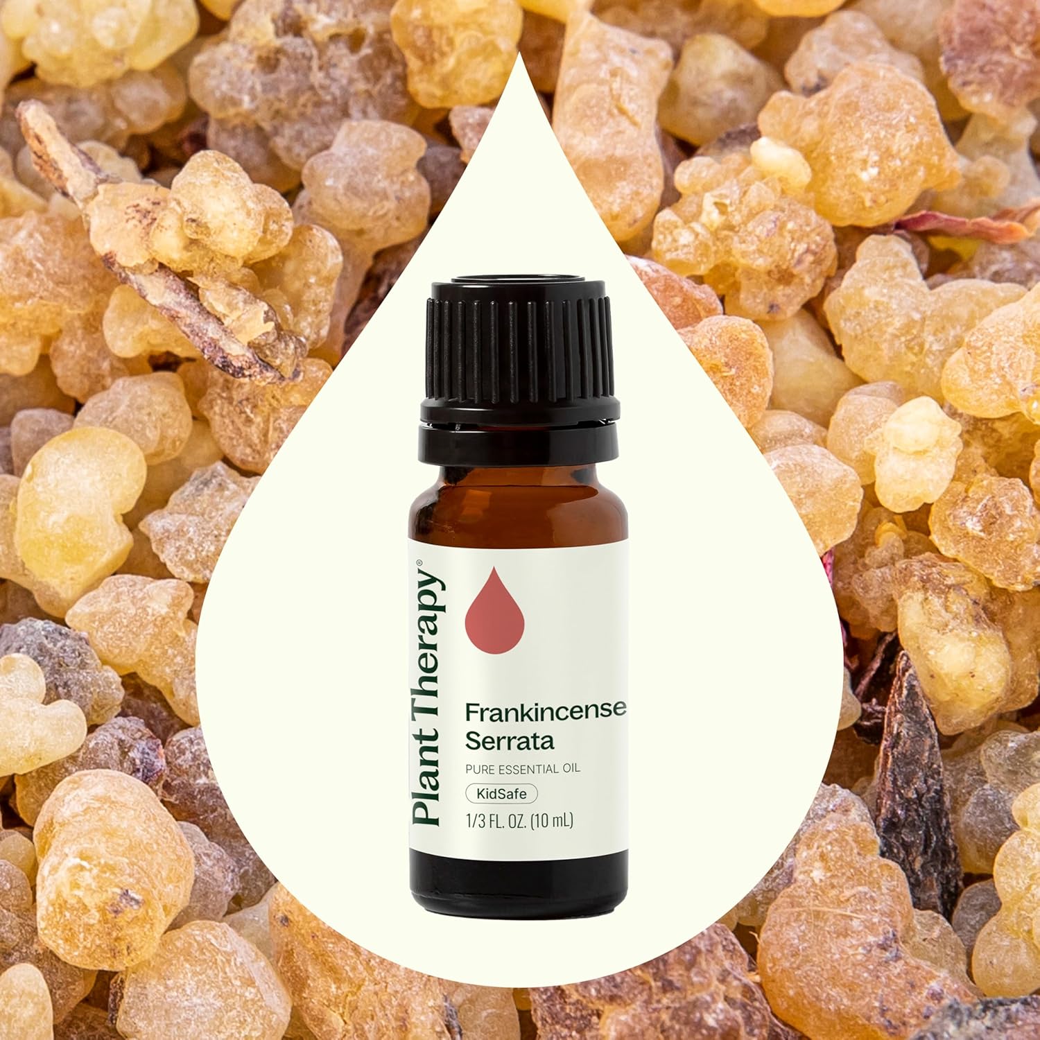Alternative view of Plant Therapy Frankincense Serrata Essential Oils 100% Pure, Undiluted, Natural Aromatherapy, Frankincense Oil for Diffuser, Skin, Massage, & Joint Health, Therapeutic Grade 10 mL (1/3 oz)