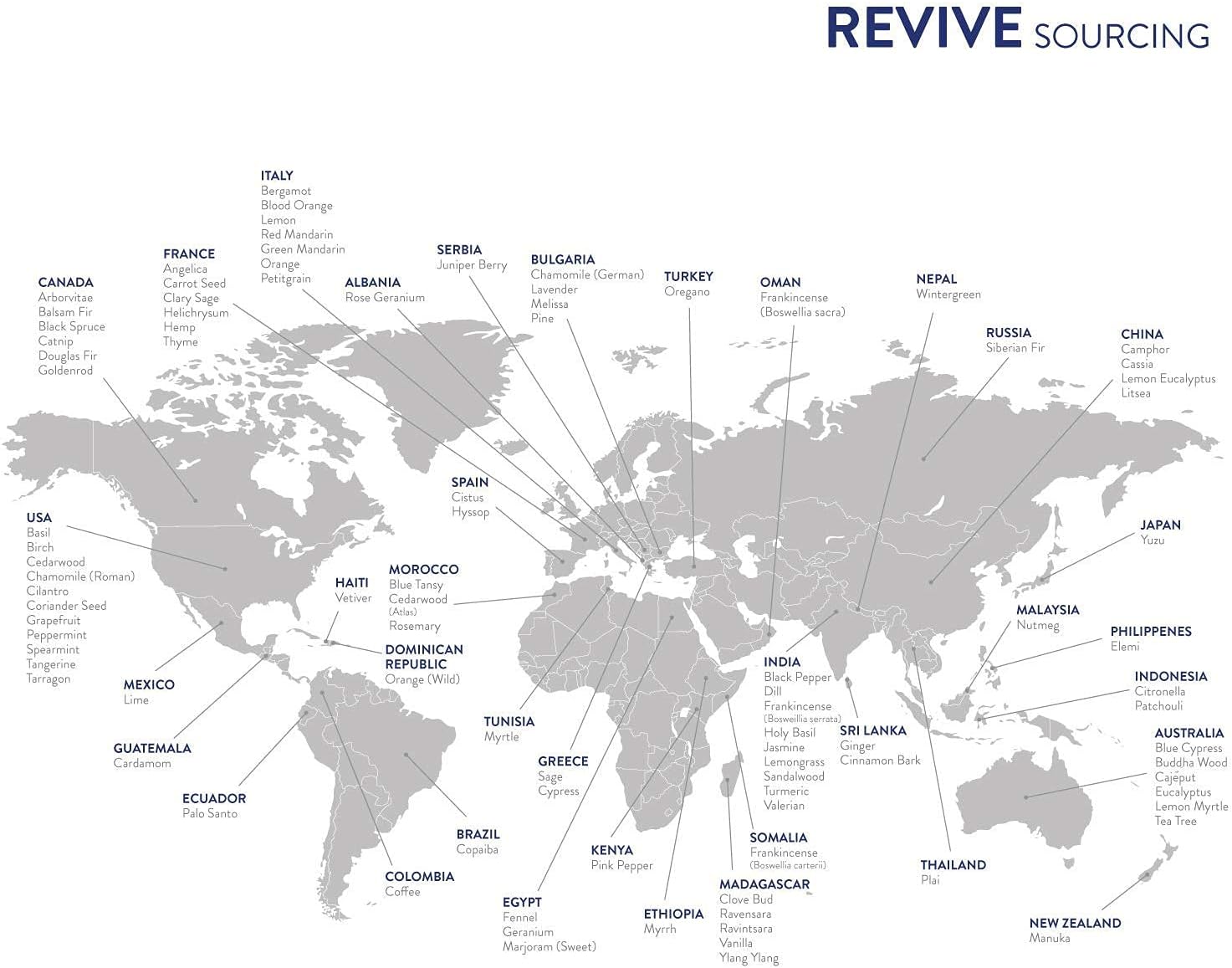 Alternative view of Clove Essential Oil by Revive Essential Oils - 100% Pure Therapeutic Grade, for Diffuser, Humidifier, Massage, Aromatherapy, Skin & Hair Care