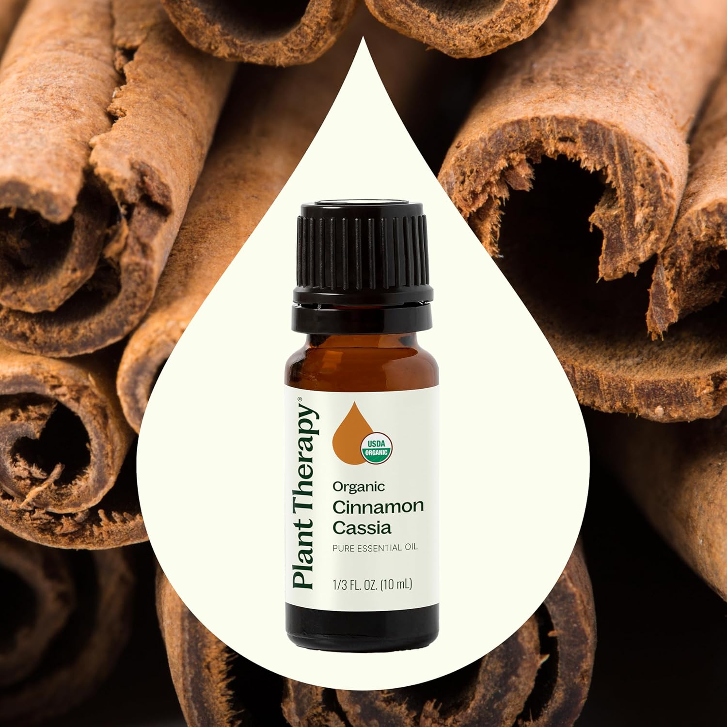 Alternative view of Plant Therapy USDA Certified Organic Cinnamon Cassia Essential Oil 10 mL (1/3 oz) 100% Pure, Undiluted, Cozy Aroma, Soothes Sore Muscle