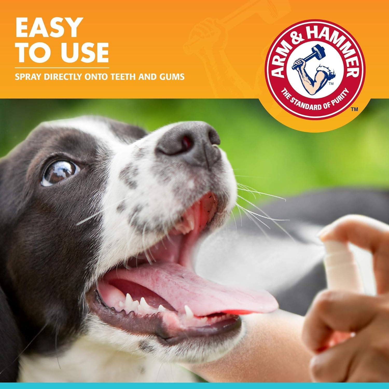 Arm & Hammer for Pets Dog Oral Care Spray - Fresh Breath & Teeth Cleaning Spray - Pet Breath Freshener - Reduce Plaque & Tartar - Healthy Mouth Hygiene Solution for Dogs - Mint Flavor, 4 Oz - 2 Pack