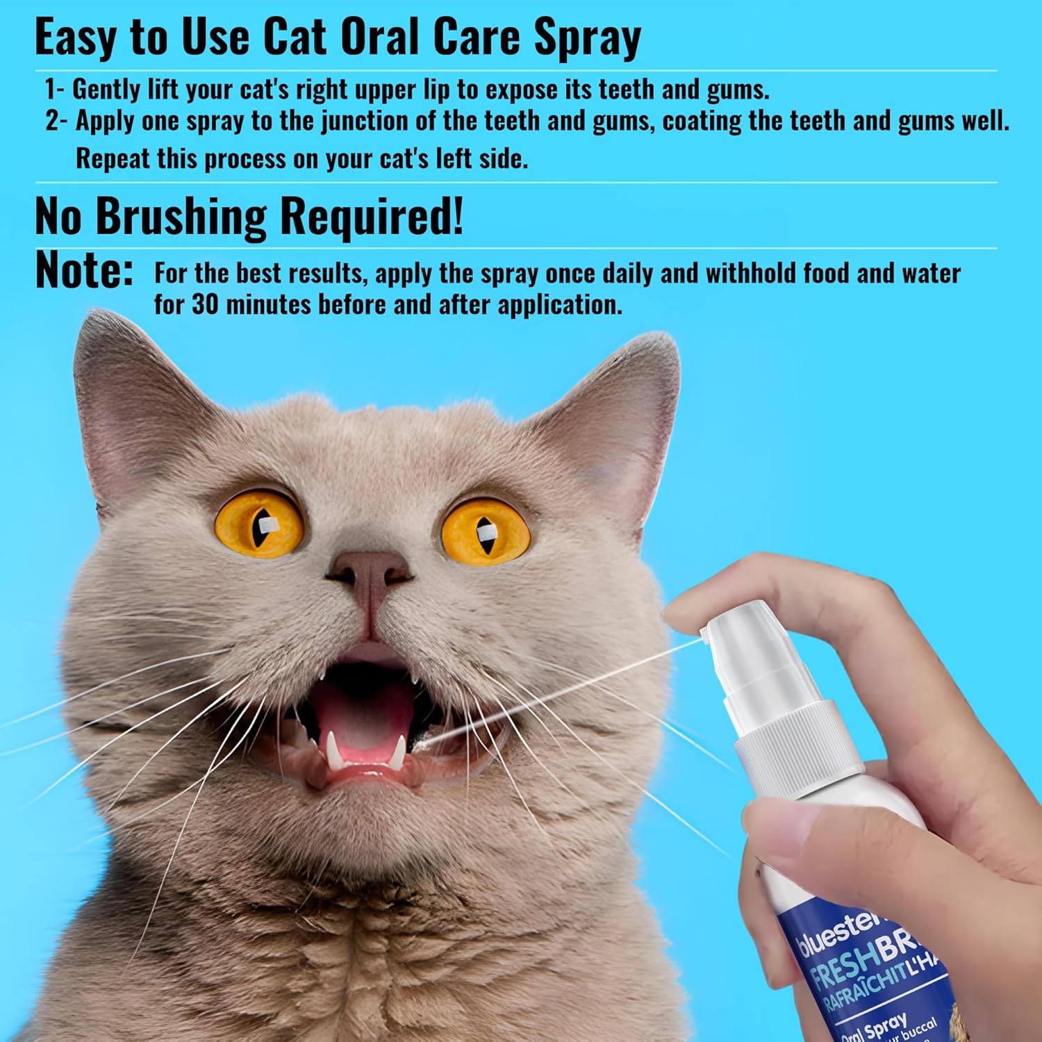 Cat Oral Spray Breath Freshener: Pet Dental Teeth and Mouth Cleaning Spray That Treats All Cats Bad Breath Smell When Breathing. Tooth Tartar, Plaque Cleaner Remedy. Small Mint Flavor Remover for Pets
