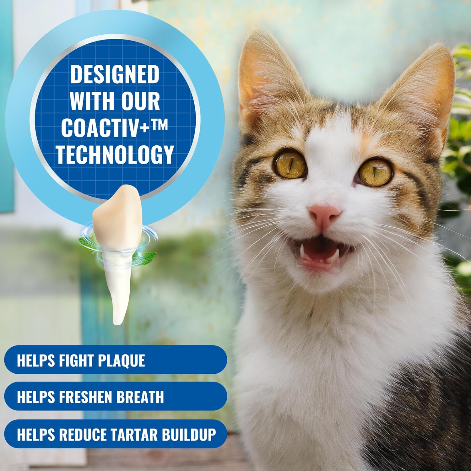 Alternative view of Cat Oral Spray Breath Freshener: Pet Dental Teeth and Mouth Cleaning Spray That Treats All Cats Bad Breath Smell When Breathing. Tooth Tartar, Plaque Cleaner Remedy. Small Mint Flavor Remover for Pets