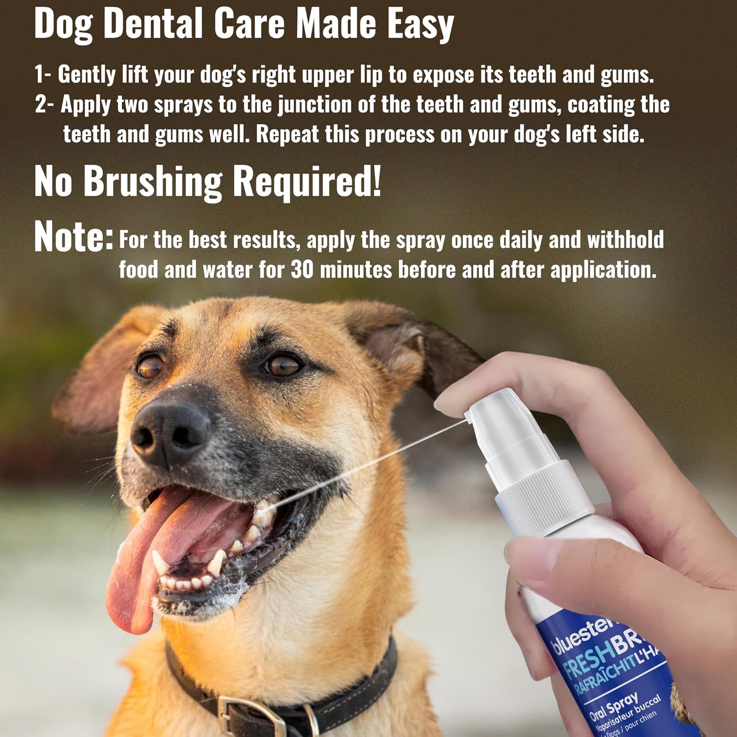 Dog Oral Spray Breath Freshener: Pet Dental Teeth & Mouth Cleaning Spray That Treats All Dogs Bad Breath Smell When Breathing. Tooth Tartar + Plaque Cleaner Remedy. Small Mint Flavor Remover for Pets