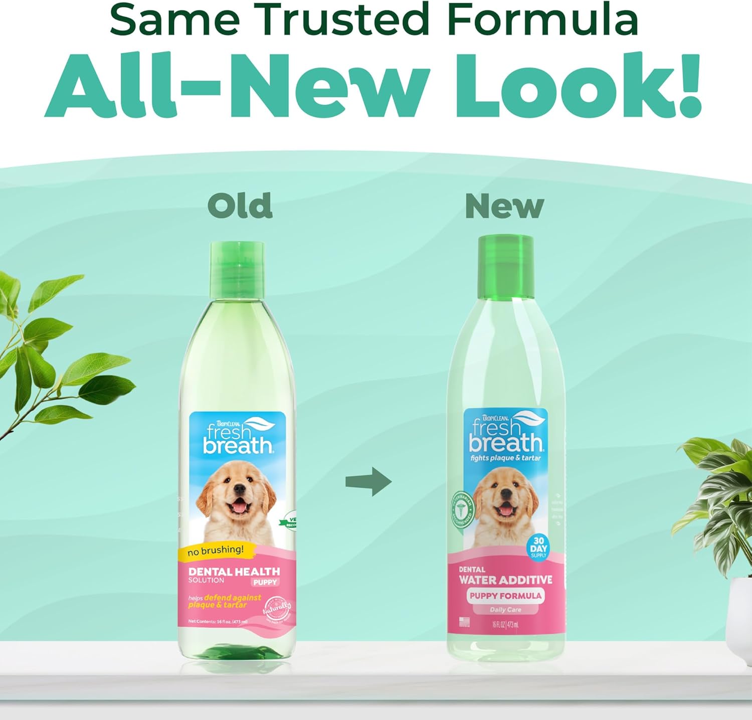 Alternative view of TropiClean Fresh Breath Water Additive for Puppies, Teeth Cleaning and Breath Freshener Solution, No Toothpaste or Toothbrush Required, 16oz.