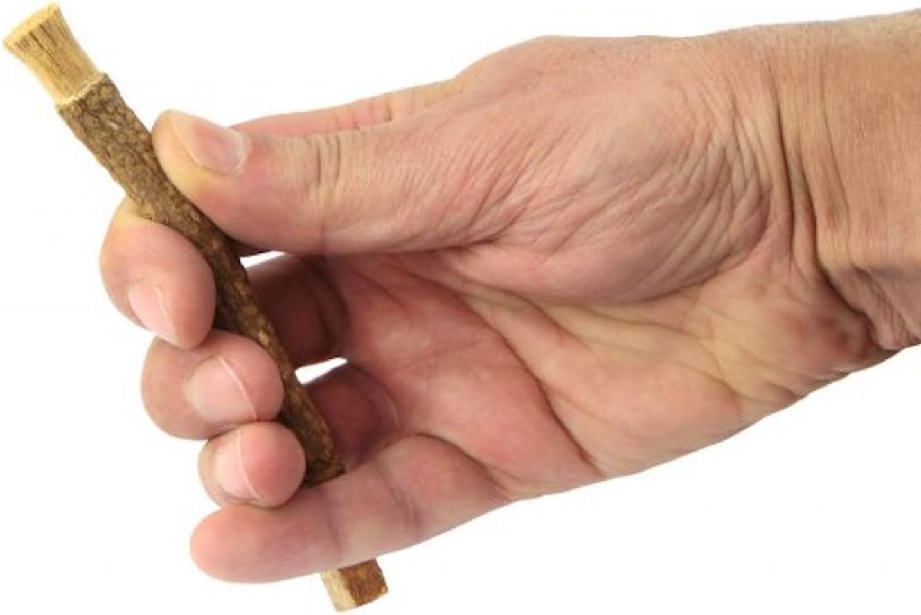 AnNafi® Siwak Miswak Stick Meswak Arak Peelu Chewing Stick Natural Flavored Organic Brush Vacuum Sealed Herbal Toothbrush Breath Freshener Tooth Sticks for Teeth Cleaning, Whitening & Oral Hygiene (5)