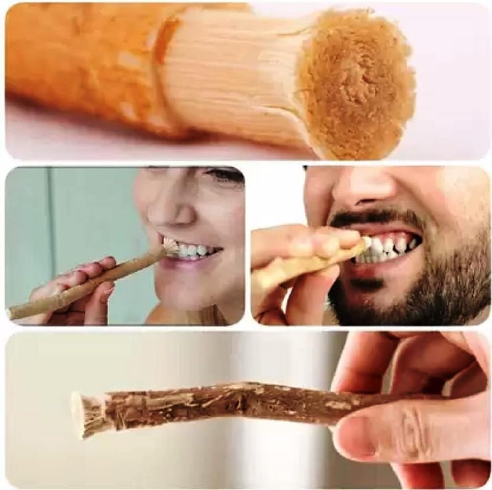 Alternative view of AnNafi® Siwak Miswak Stick Meswak Arak Peelu Chewing Stick Natural Flavored Organic Brush Vacuum Sealed Herbal Toothbrush Breath Freshener Tooth Sticks for Teeth Cleaning, Whitening & Oral Hygiene (5)