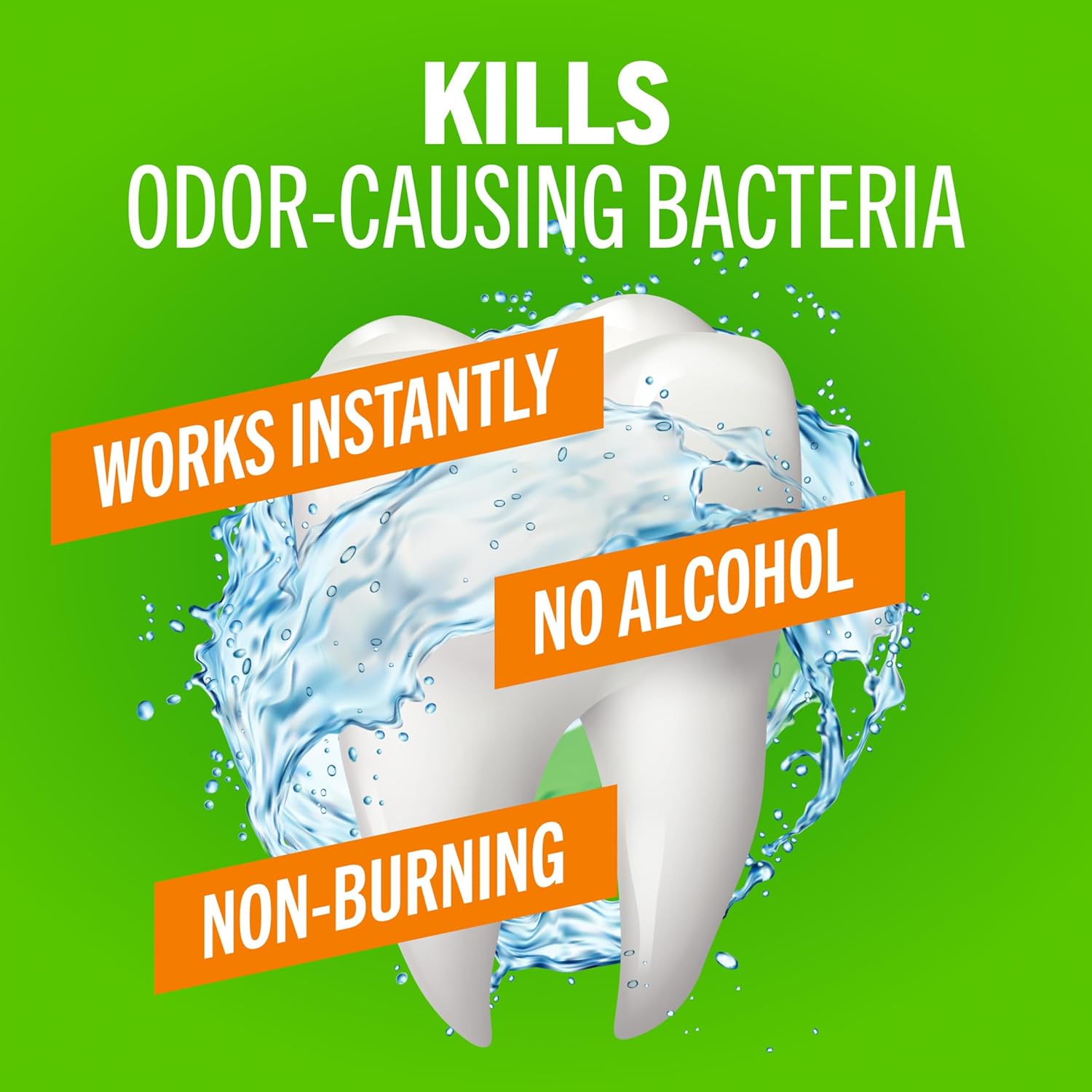 TheraBreath Fresh Breath Mouthwash, Mild Mint Flavor, Alcohol-Free, 16 Fl Oz (2-Pack)