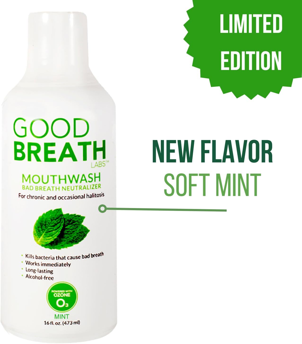 Goodbreath Mouthwash - Mint Mouth Rinse for Chronic Halitosis - New Ozone Technology Oral Rinse - Halitosis Treatment & Bad Breath Neutralizer - Mouthwash for Gum Diseases - Alcohol-Free | 16 Oz