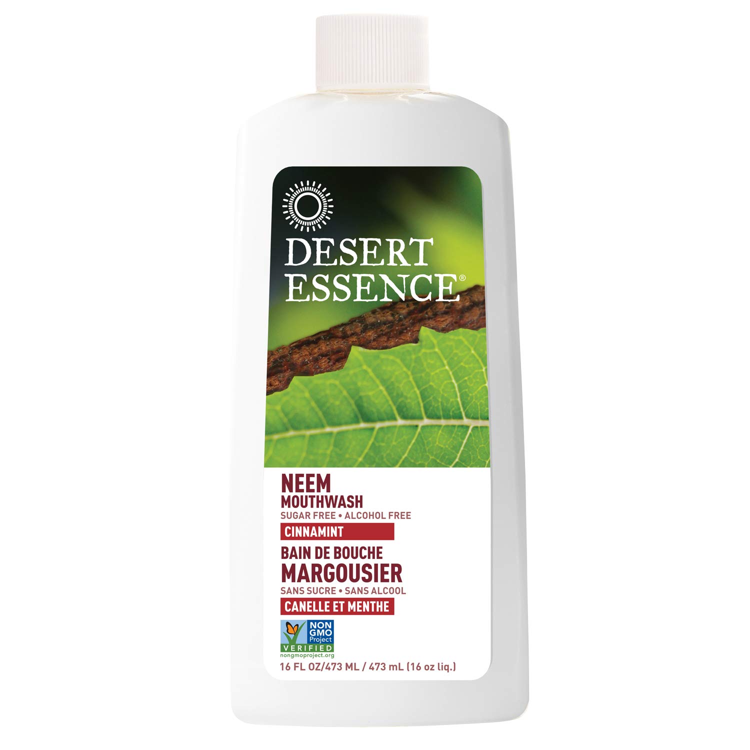 Desert Essence Alcohol-Free Mouthwash with Tea Tree Oil and Aloe, Sugar-Free, Oral Rinse to Fight Bad Breath & Dry Mouth, Vegan, Non-GMO, SLS-Free, Gluten-Free, Cinnamint Flavor, 16oz