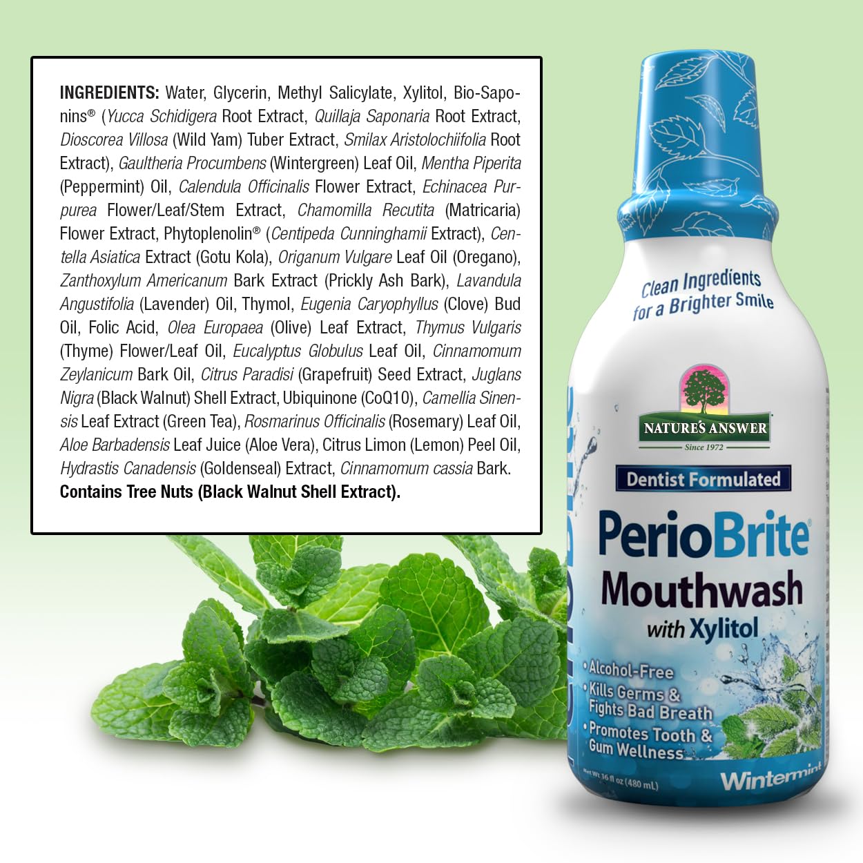 Alternative view of Nature's Answer Periobrite Winter Mint Mouthwash | Promotes Healthy Teeth & Gums| Fights Bad Breath | Fluoride-Free, Alcohol-Free, Gluten-Free & Vegan| No Artificial Preservatives 16oz