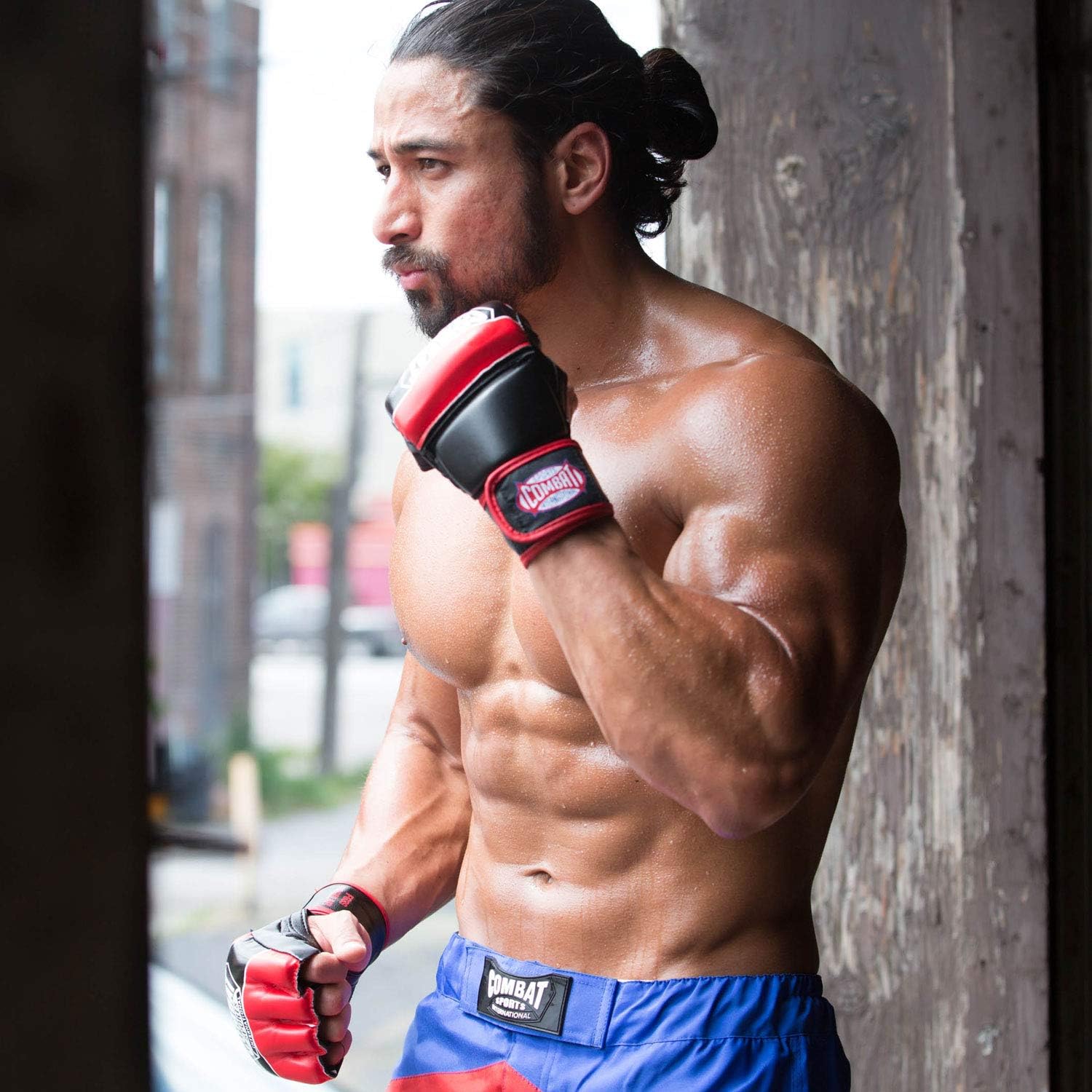 Alternative view of Combat Sports Traditional MMA Fight Gloves