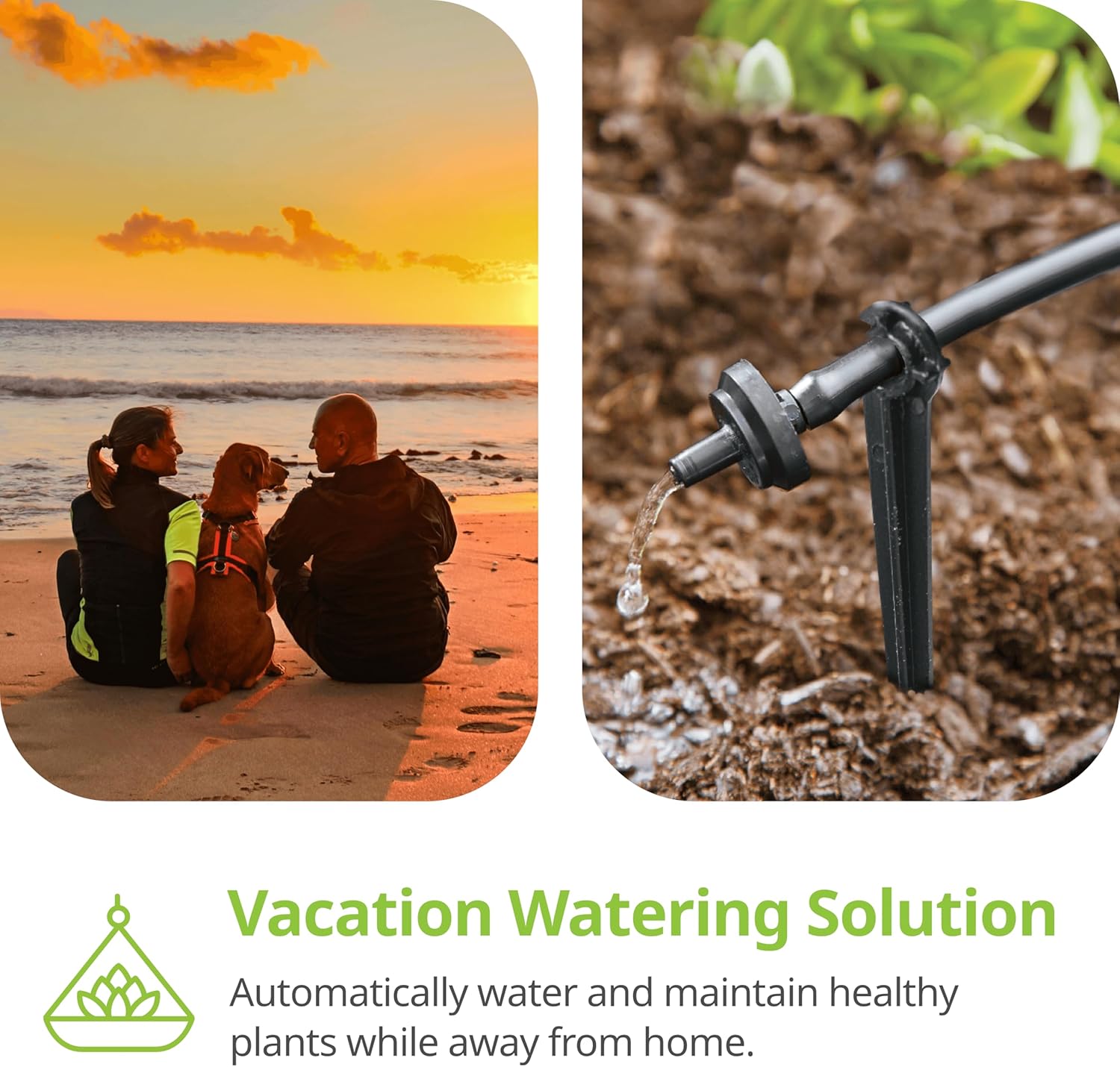 Alternative view of Raindrip R560DP Drip Watering System, Automatic Drip Irrigation System with Timer for Containers and Hanging Baskets, Waters up to 20 Plants, Includes 20 Drippers, Black