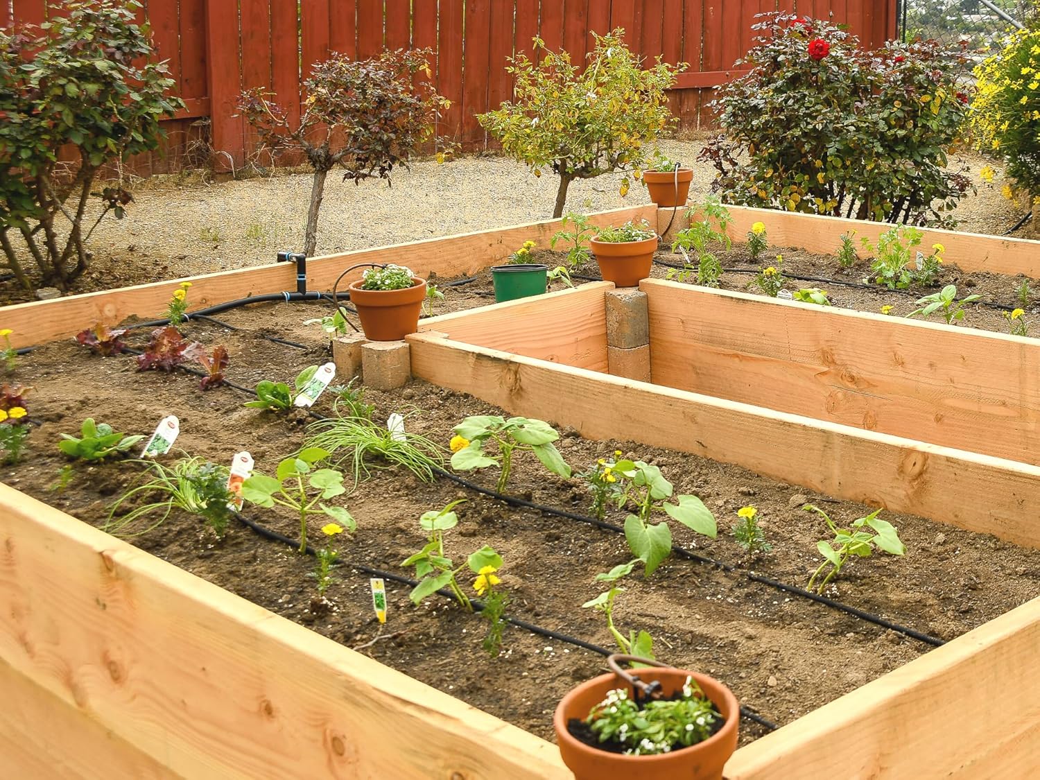 1/4" Irrigation Dripline Tubing (100 Ft Roll) - 6" Emitter Spacing - 1/4" Drip Irrigation Fittings Included - Image 4