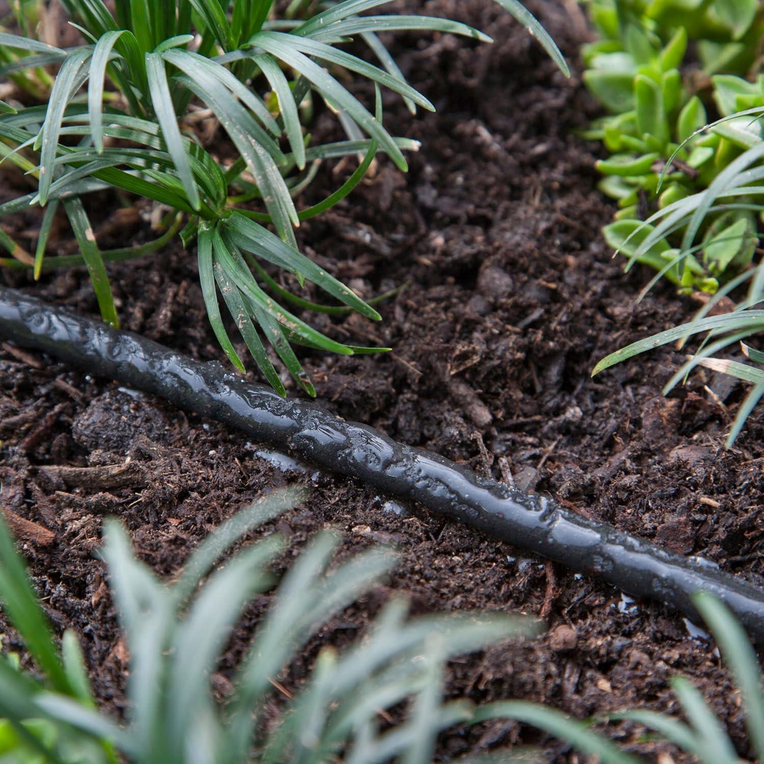 Raindrip 015005T 1/4-Inch by 50-Foot Soaker Hose Tubing for Drip Irrigation, Use in Vegetable Garden, Planters, and Borders, 50-Foot, Black - Image 3