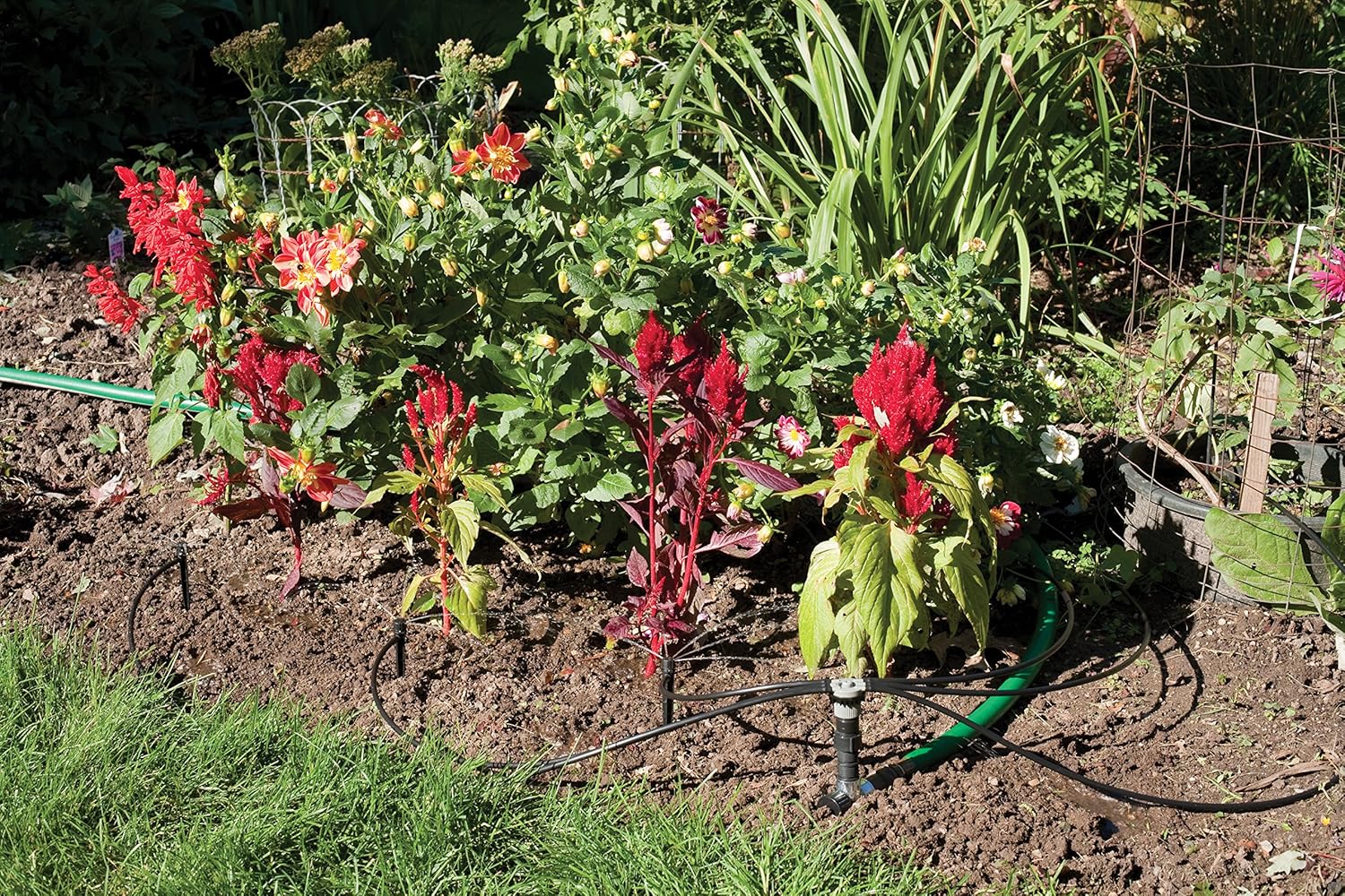Rain Bird SWDMSPKIT Drip Irrigation Spot Watering Manifold on a Spike Kit, Bubblers and Emitters - Image 5