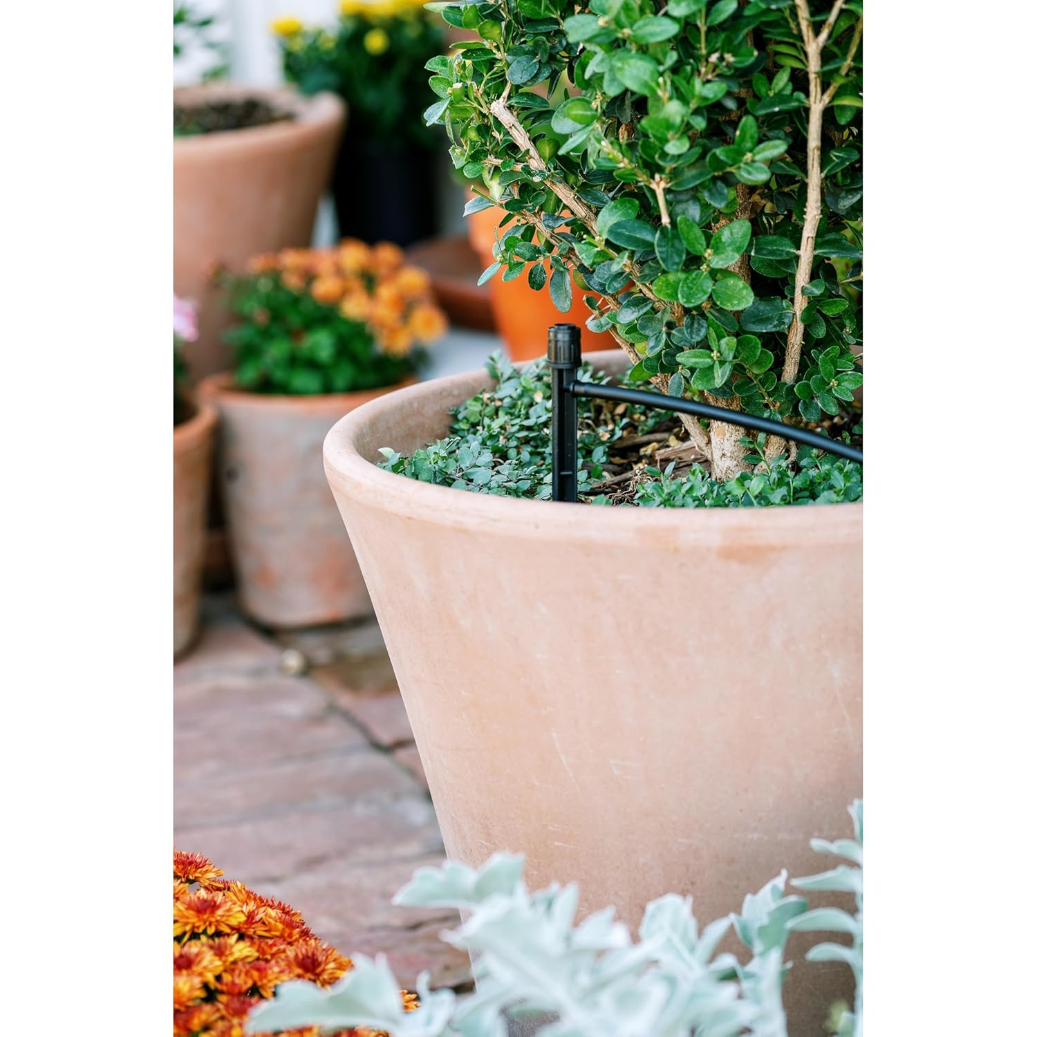 Orbit 56309 Planter Drip Irrigation Kit - 30ft Complete Watering System with Adjustable Micro-Bubblers for Container Gardens - Image 4