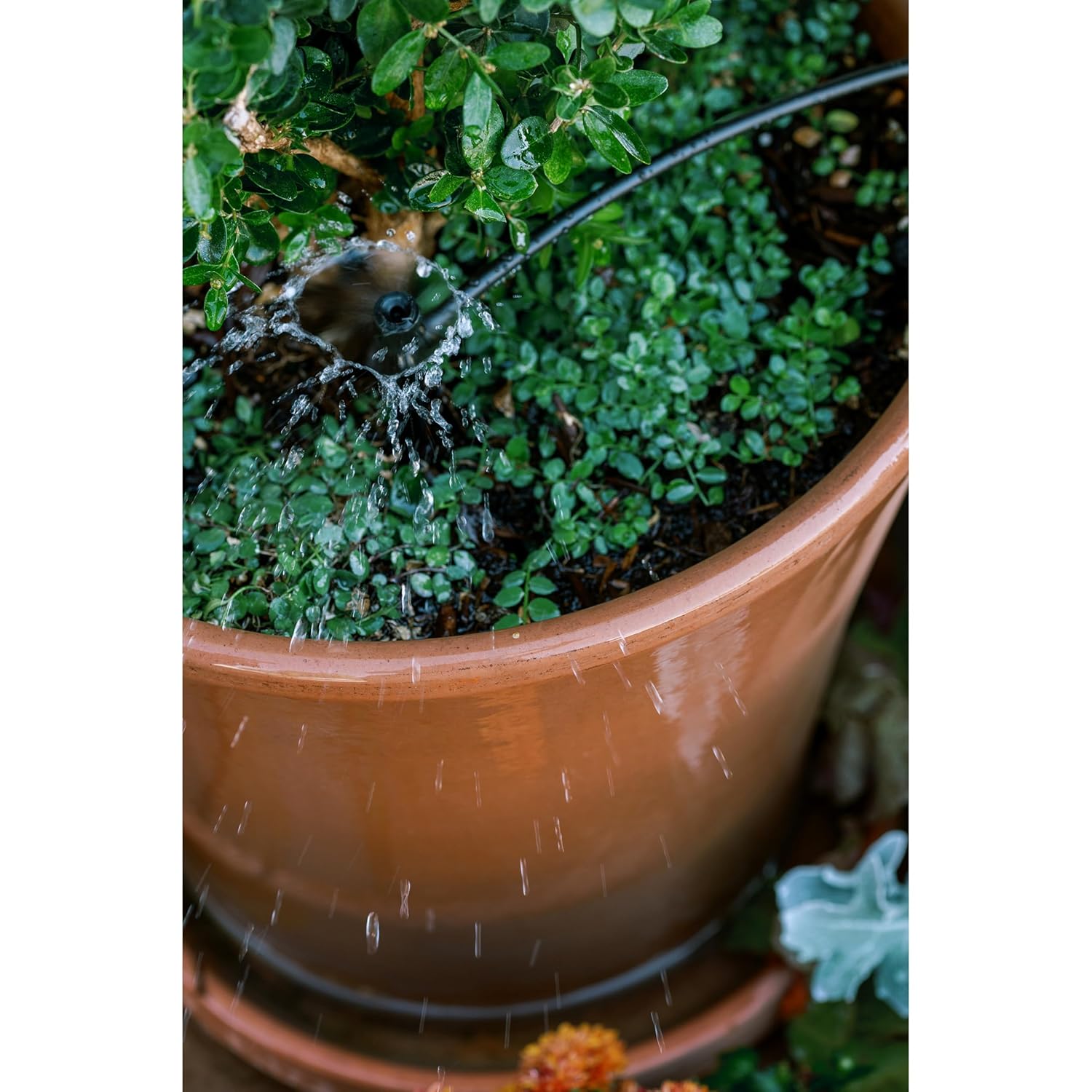 Orbit 56309 Planter Drip Irrigation Kit - 30ft Complete Watering System with Adjustable Micro-Bubblers for Container Gardens - Image 6