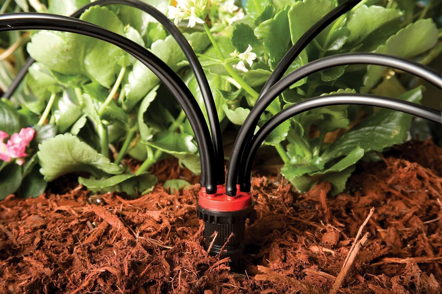 Alternative view of Rain Bird MANIF21PK Drip Irrigation 6-Port Manifold, 2 Gallon Per Hour Flow Rate Per Port (Pack of 2)